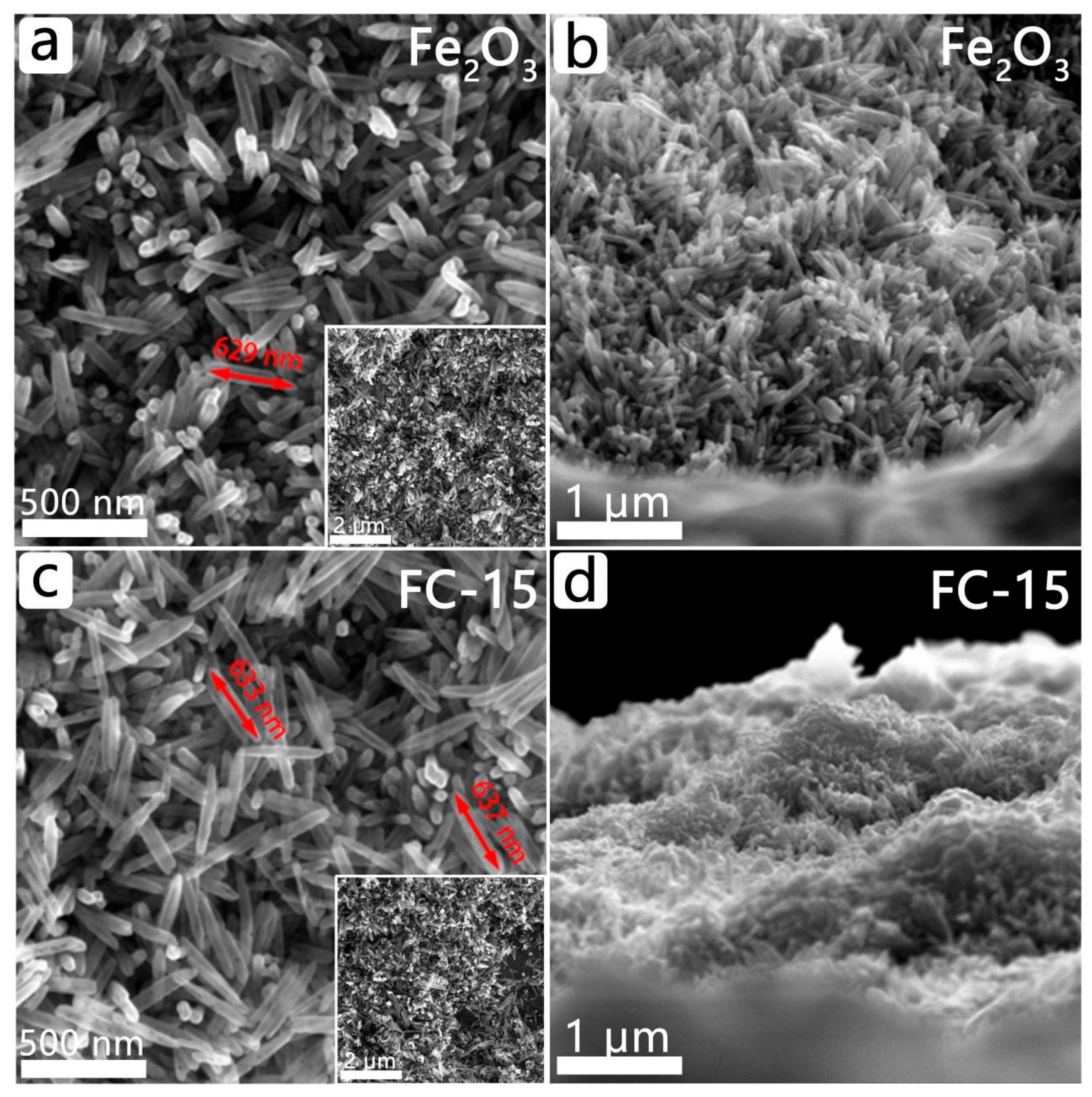 Catalysts 14 00812 g002