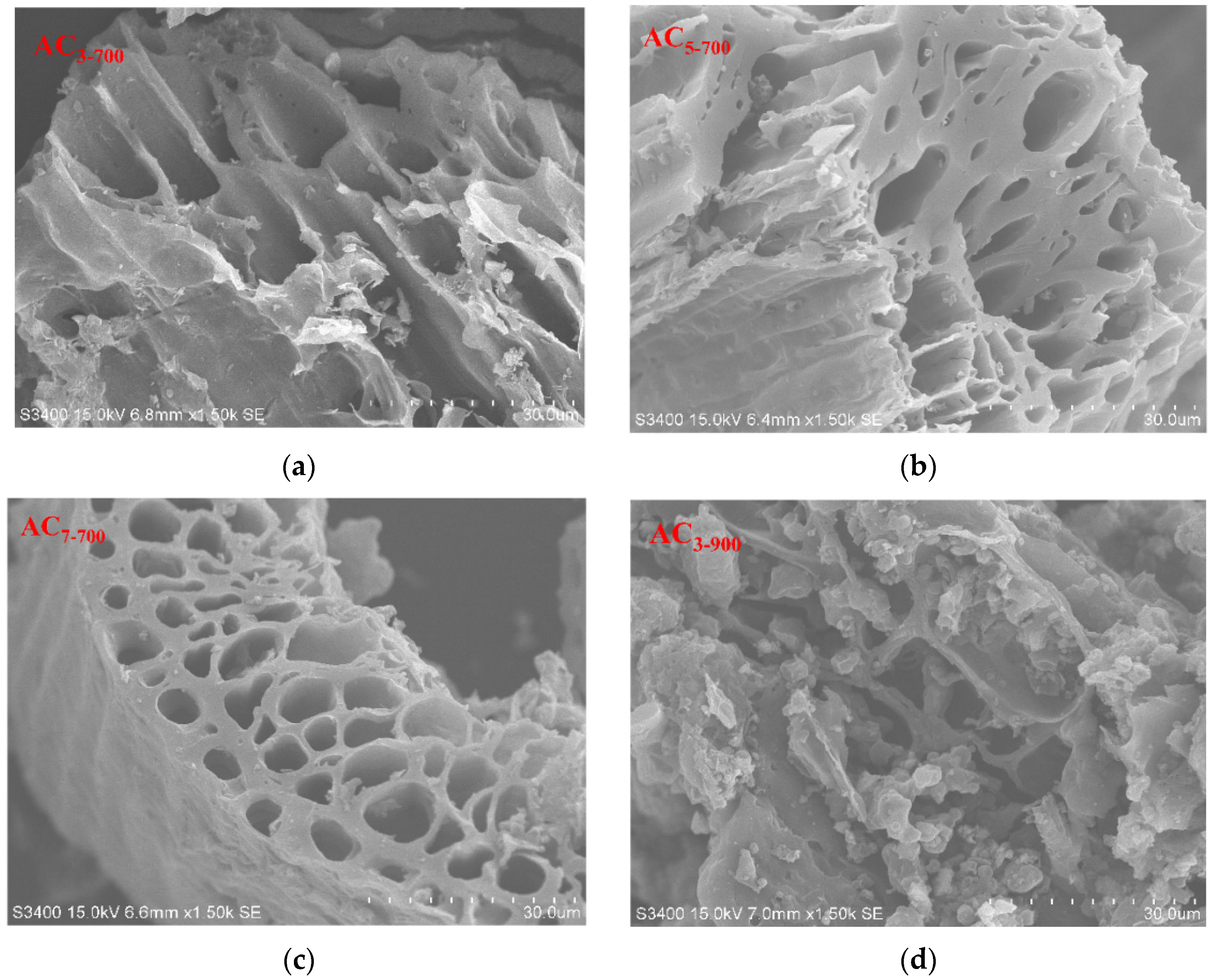 Catalysts 14 00814 g012