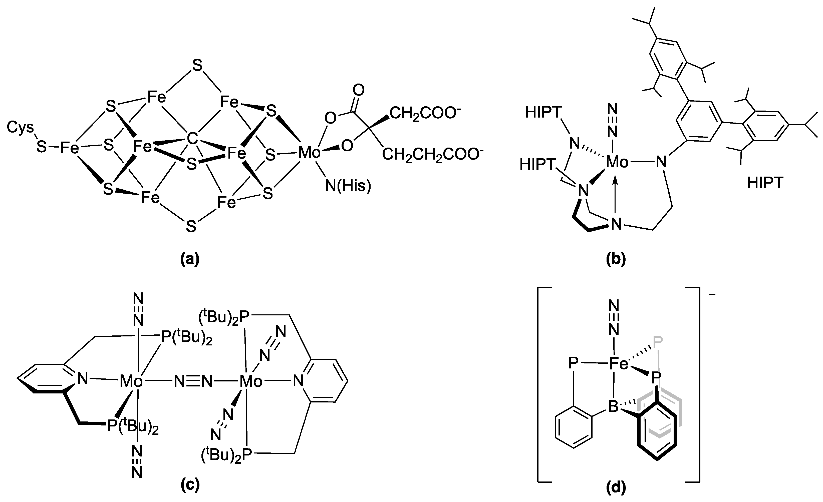 Catalysts 14 00816 g001 Catalysts 14 00816 g001