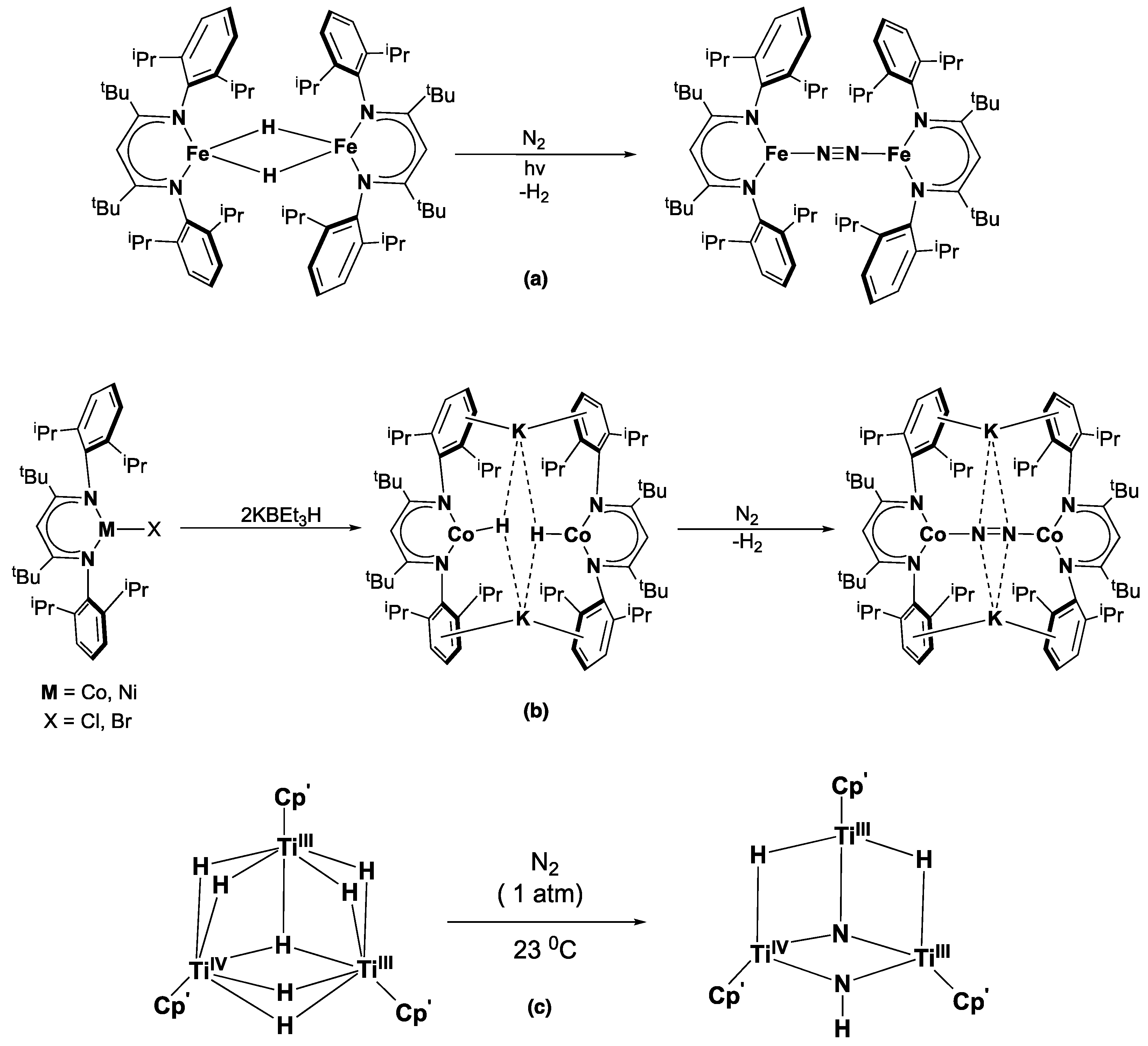 Catalysts 14 00816 g003 Catalysts 14 00816 g003