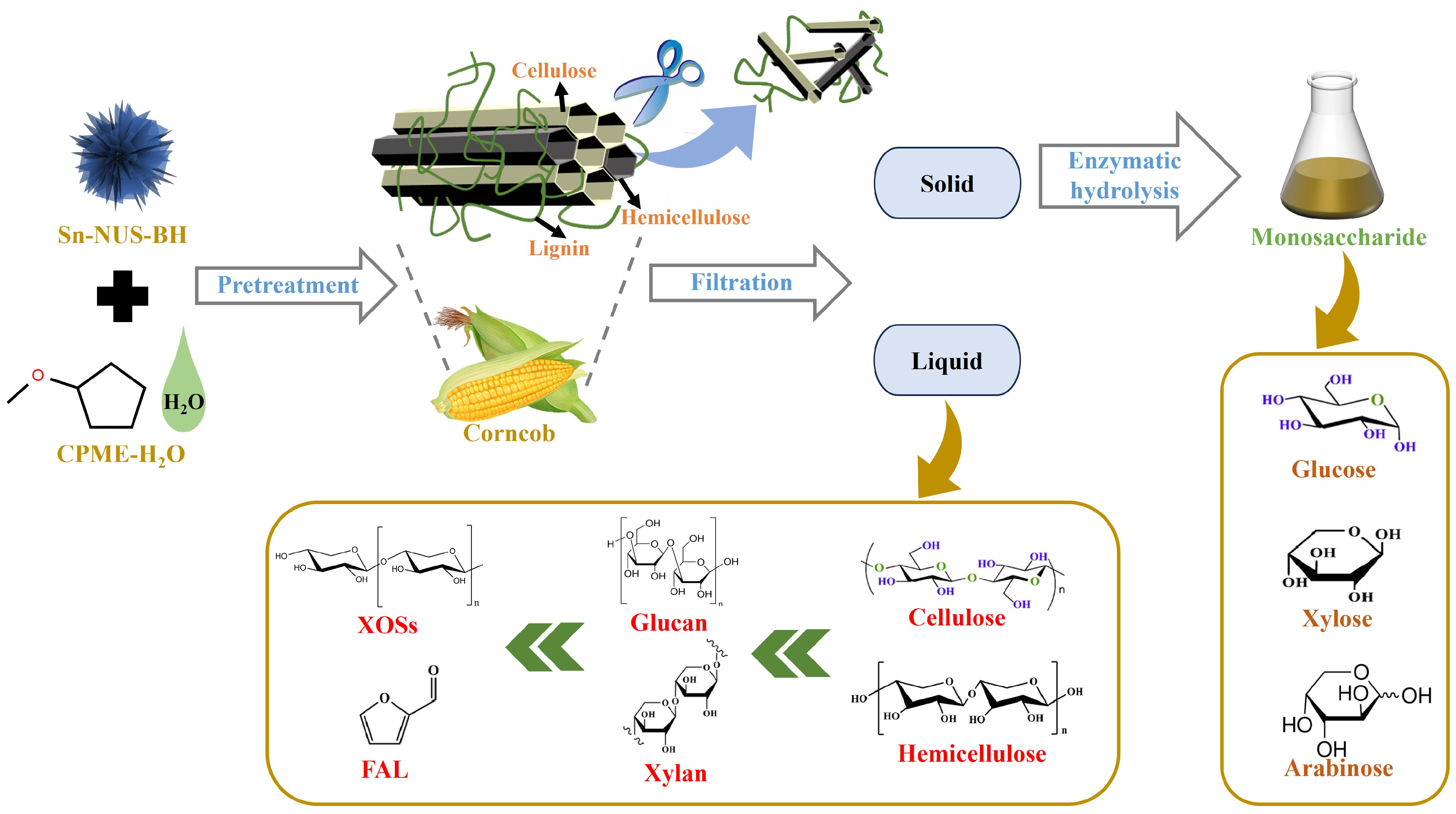 Catalysts 14 00821 g007