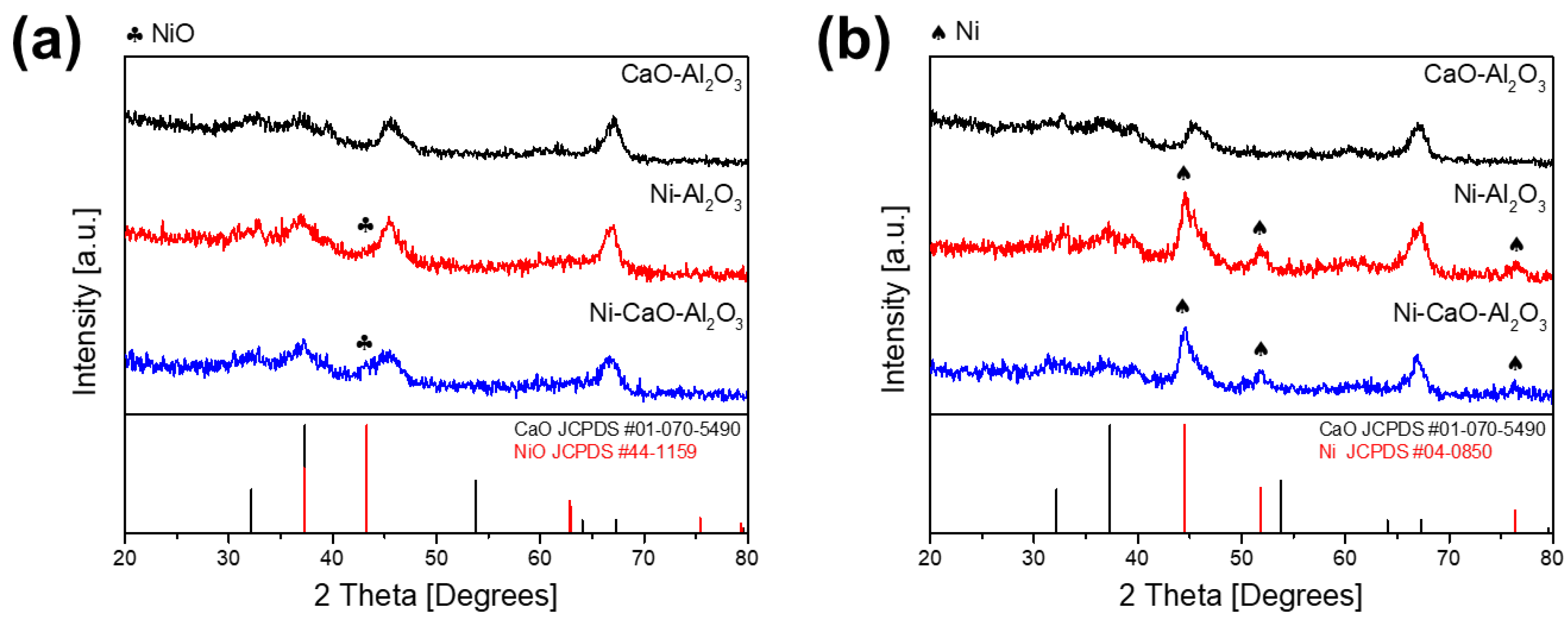 Catalysts 14 00834 g001