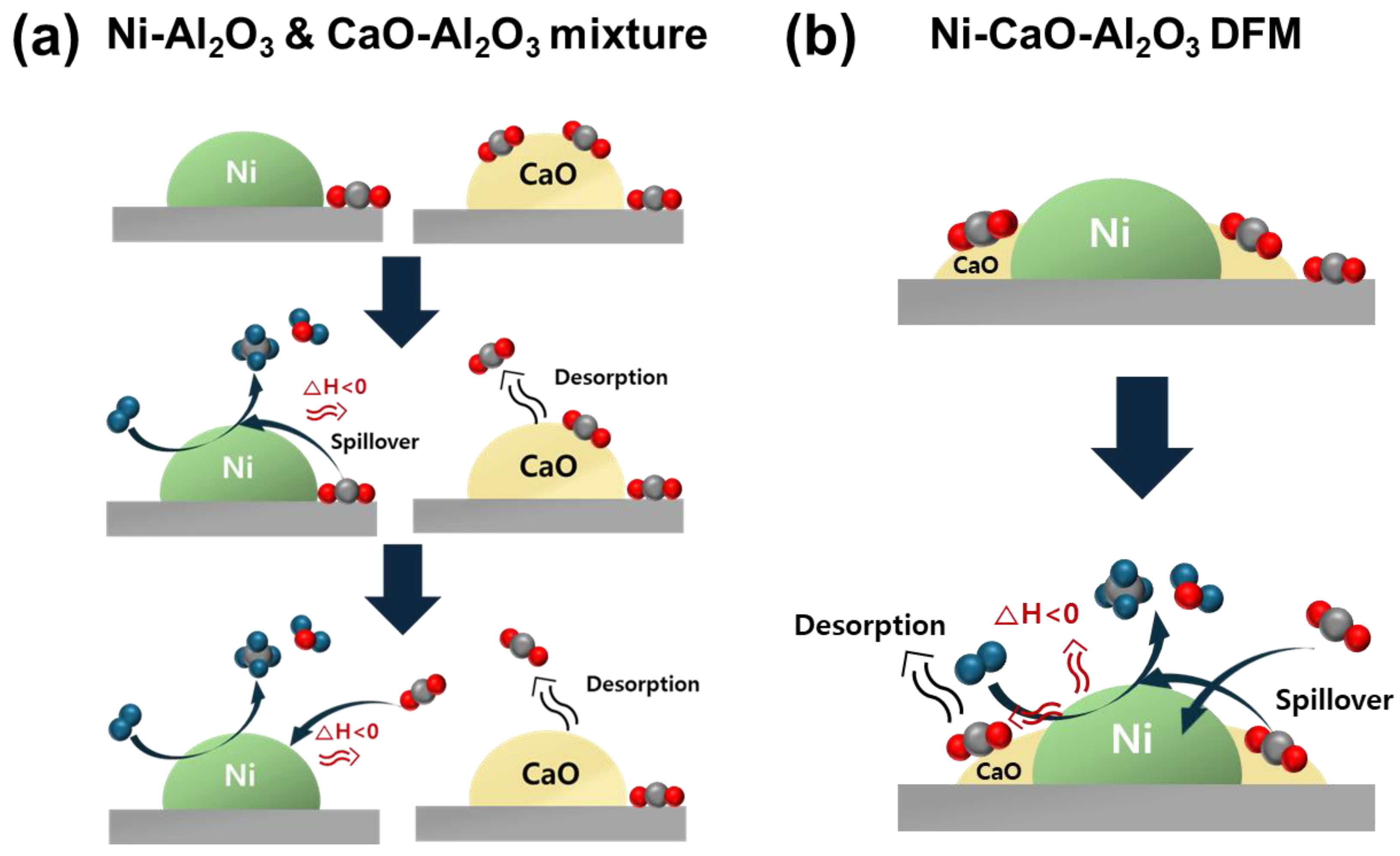 Catalysts 14 00834 g008