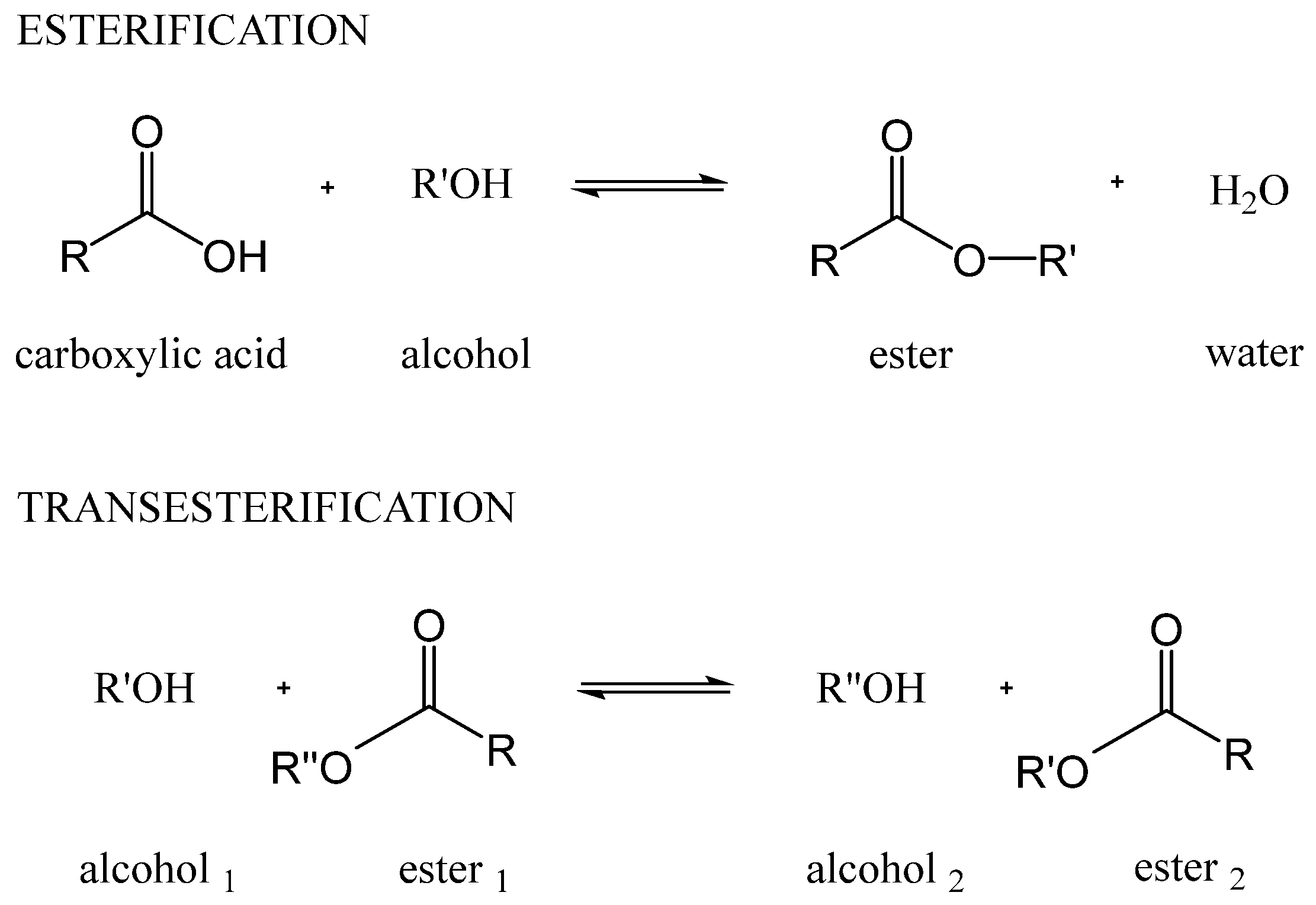 Catalysts 14 00842 g001
