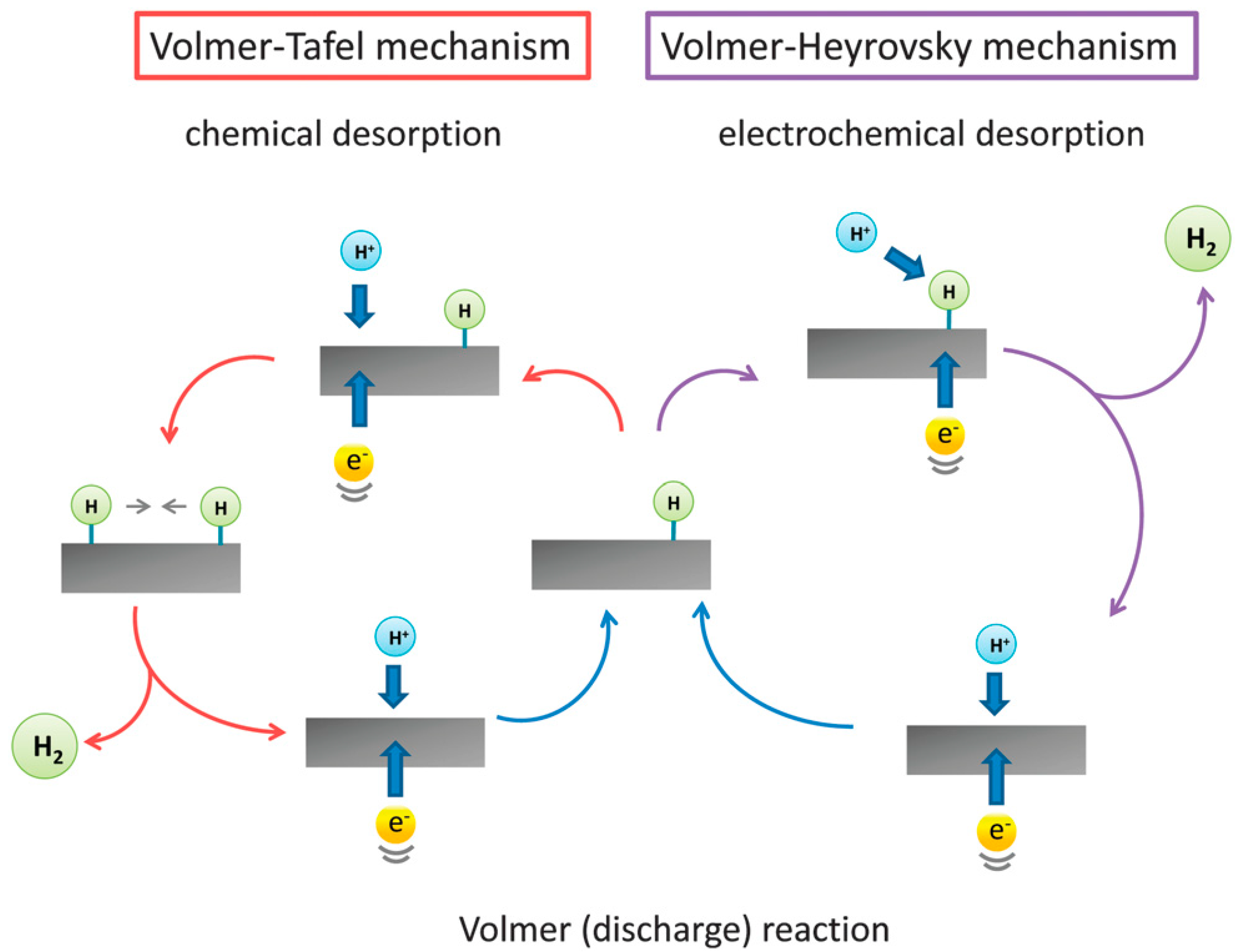 Catalysts 14 00845 g003
