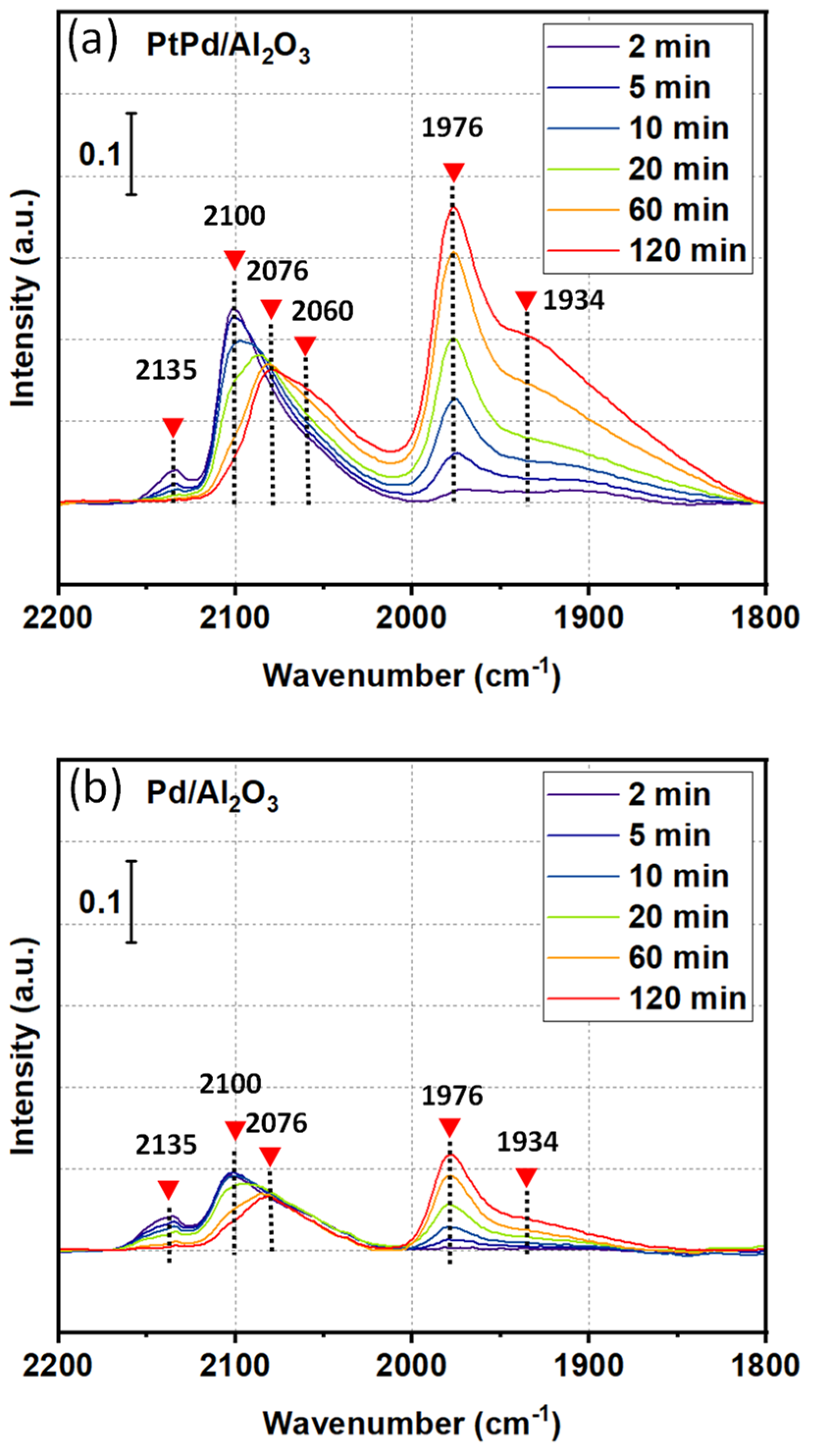Catalysts 14 00847 g004
