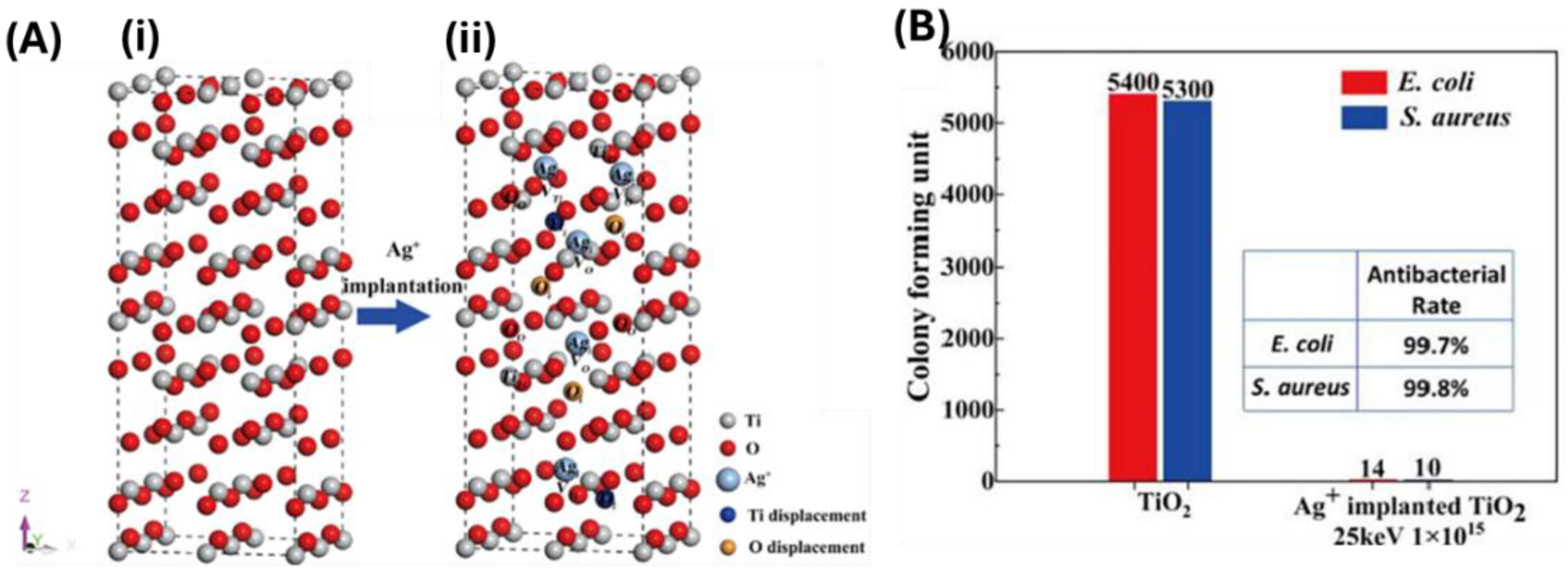 Catalysts 14 00855 g007