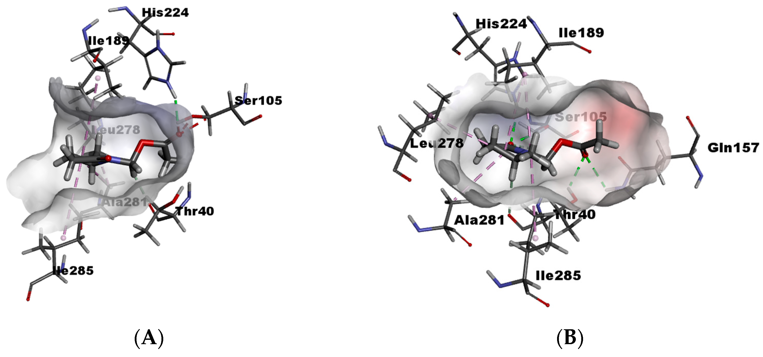Catalysts 14 00861 g005
