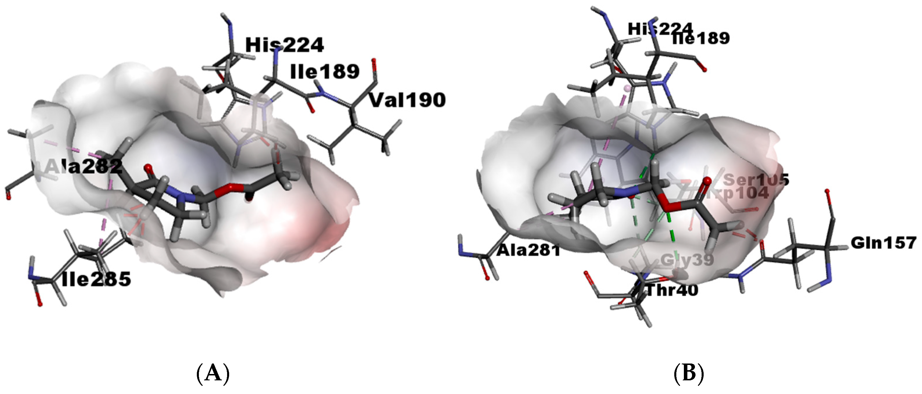Catalysts 14 00861 g007