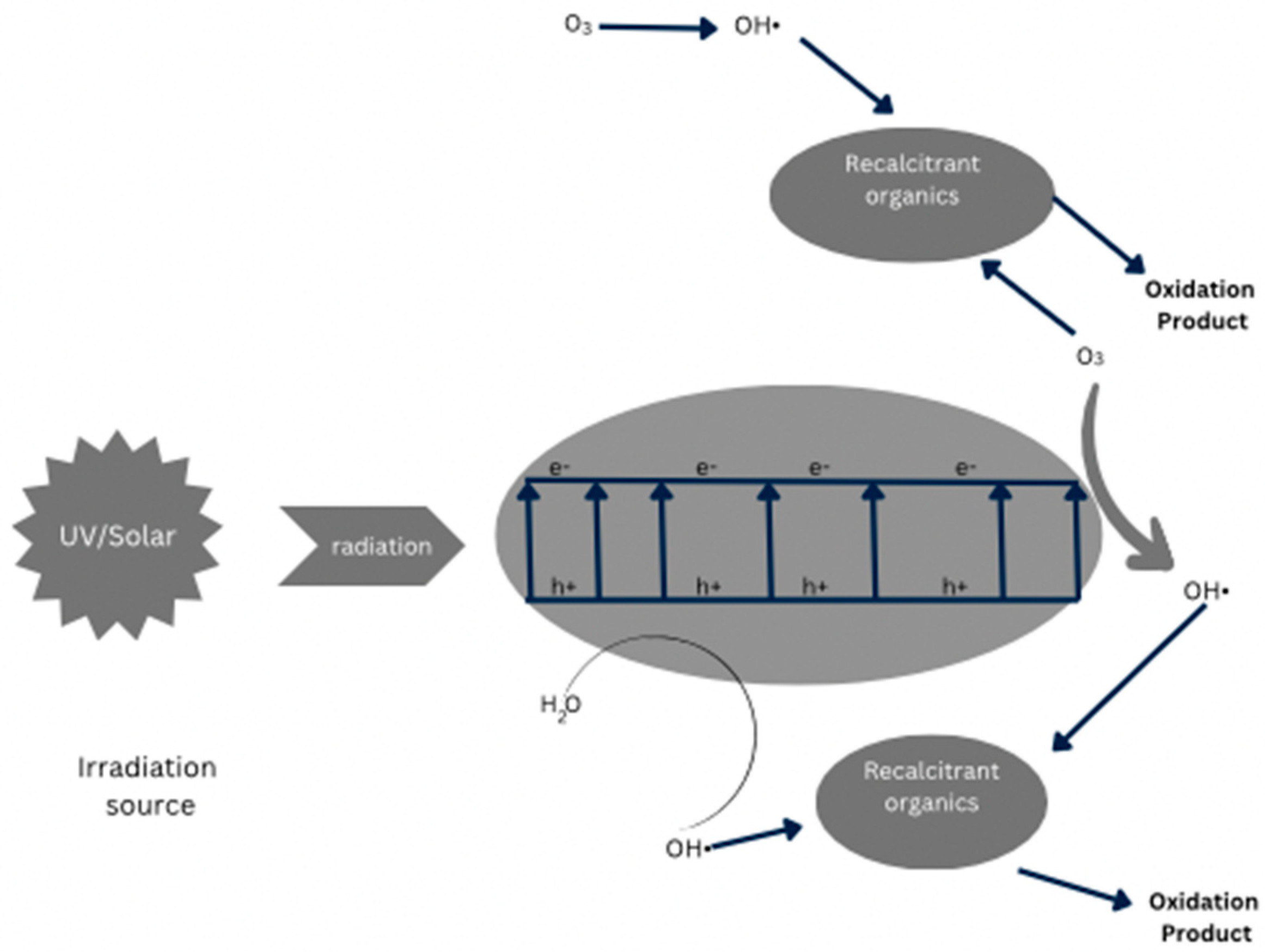 Catalysts 14 00863 g001 Catalysts 14 00863 g001