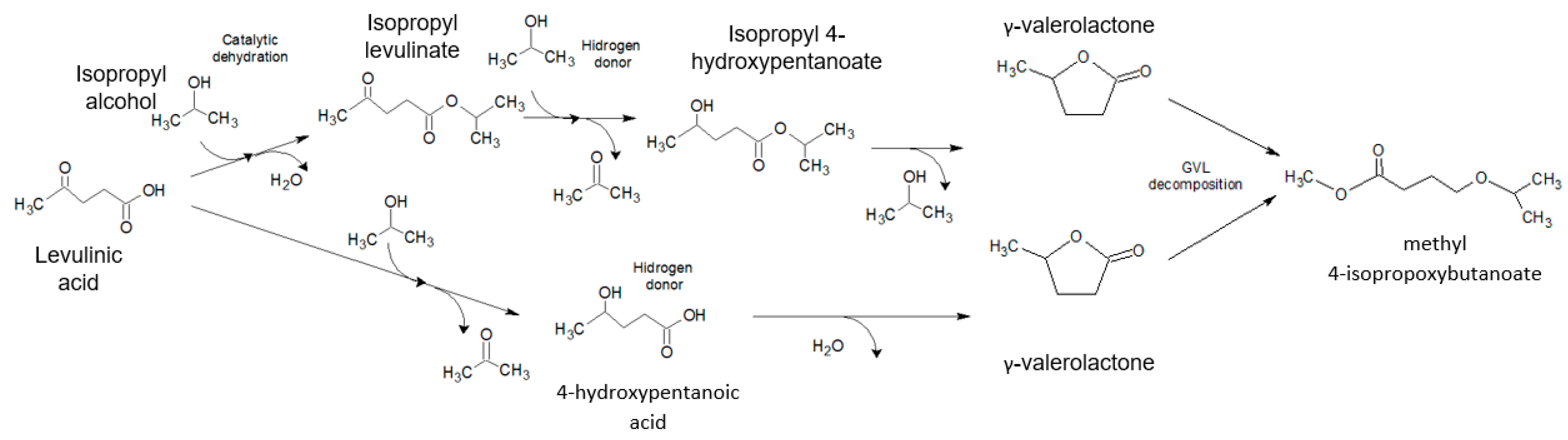 Catalysts 14 00869 sch002
