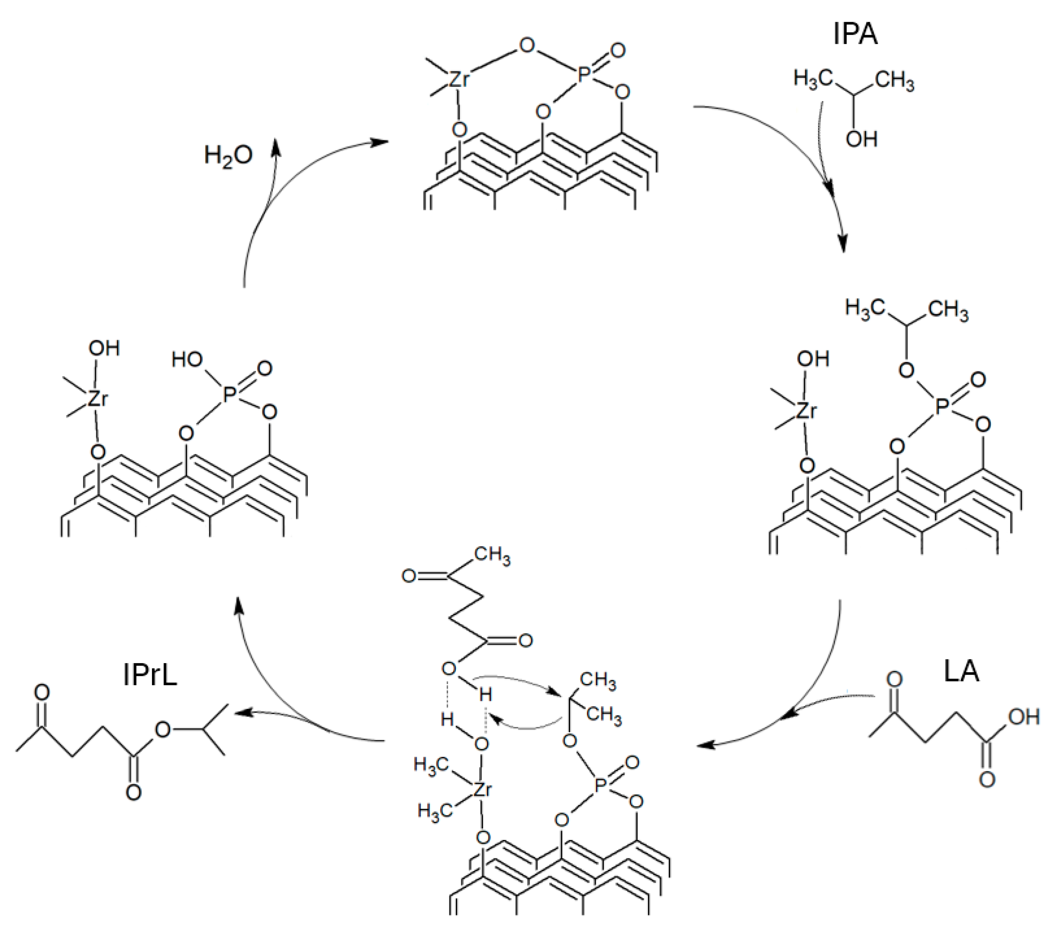 Catalysts 14 00869 sch003