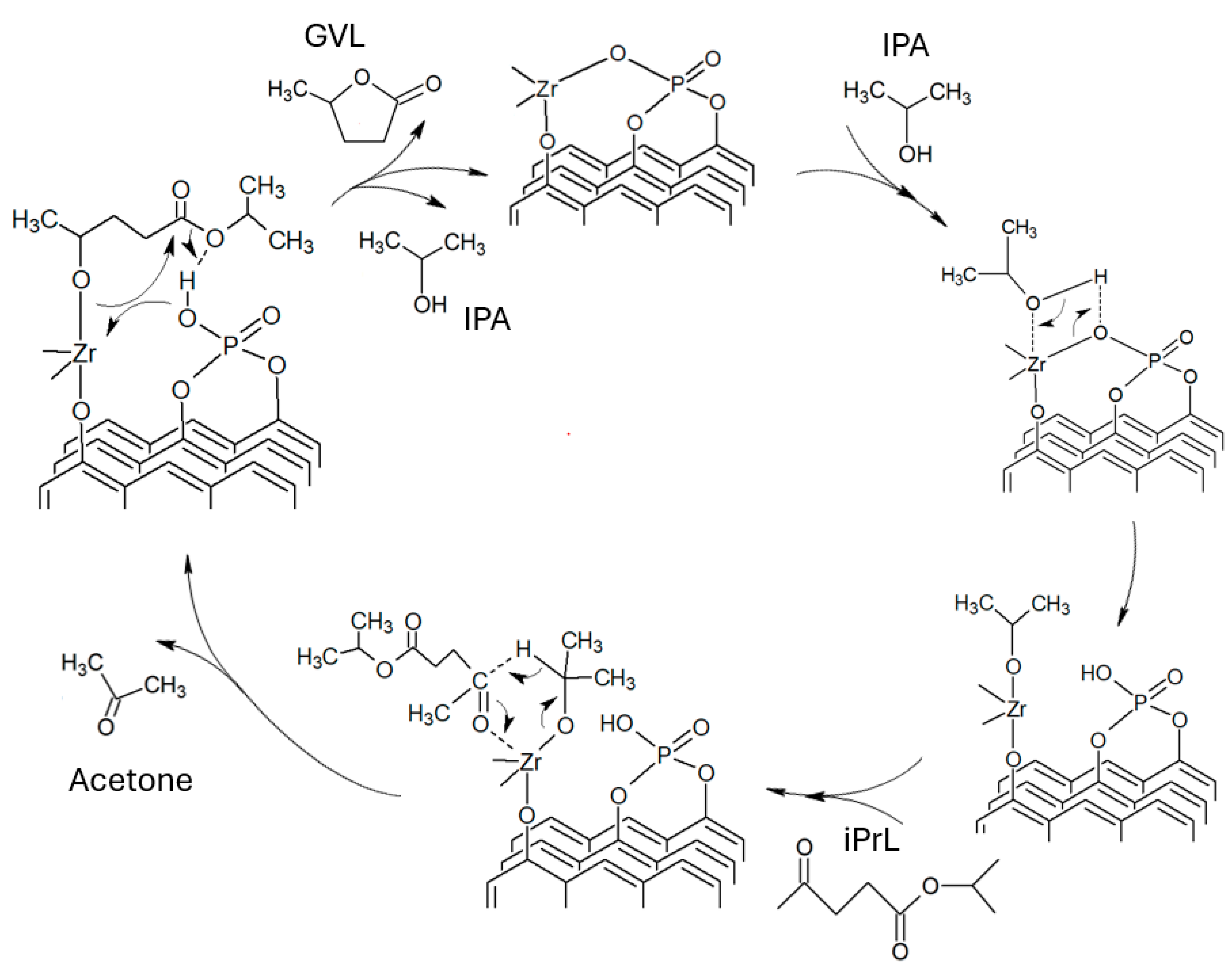Catalysts 14 00869 sch004
