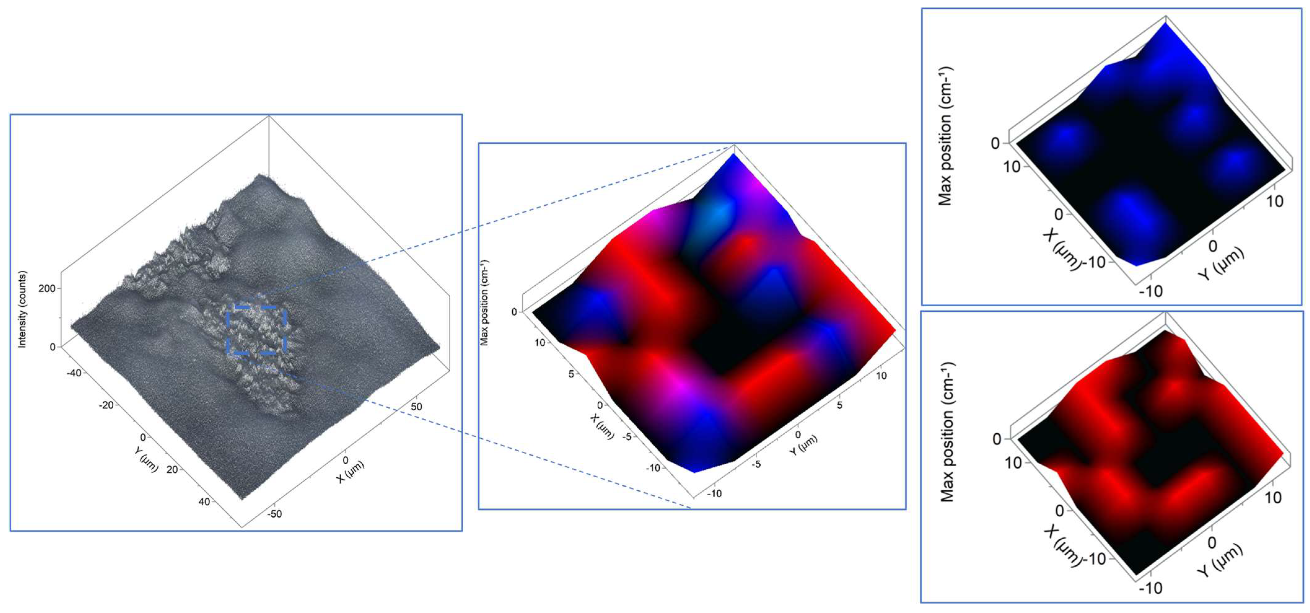 Catalysts 14 00875 g005