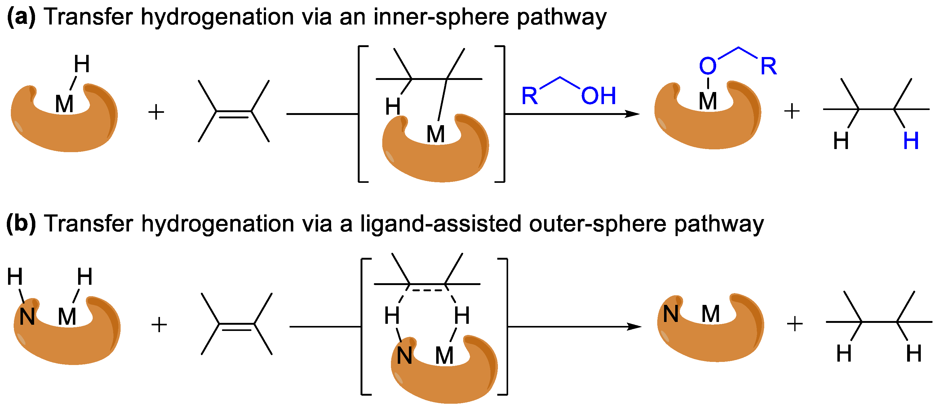 Catalysts 14 00881 sch010