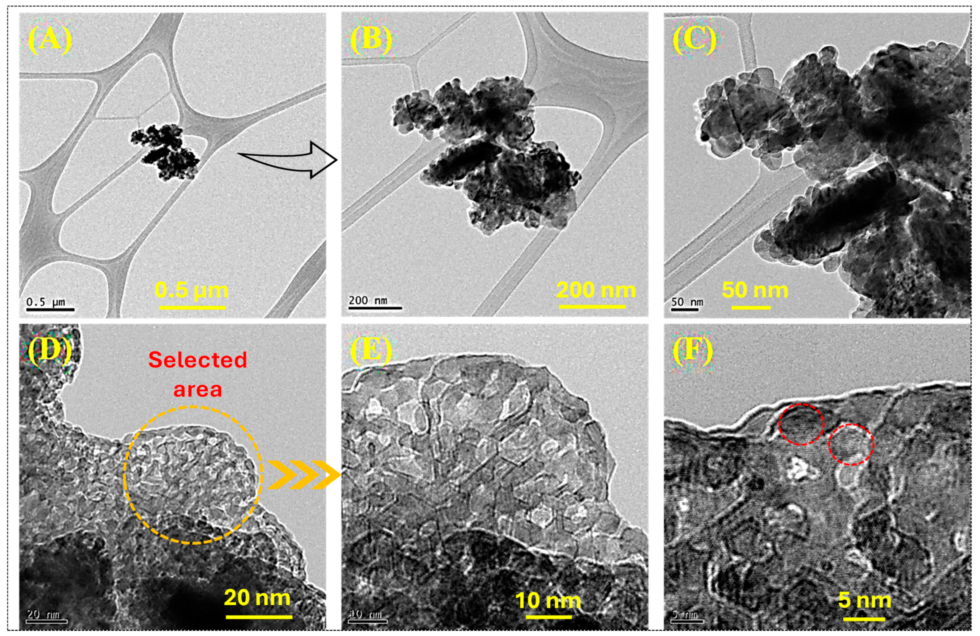 Catalysts 14 00888 g001