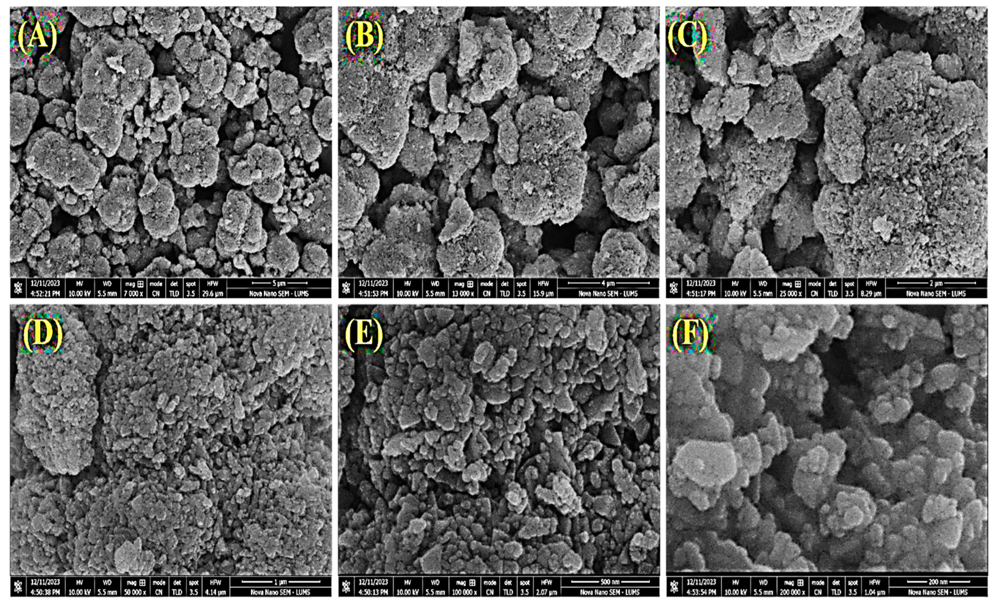 Catalysts 14 00888 g002