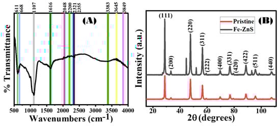 Catalysts 14 00888 g003