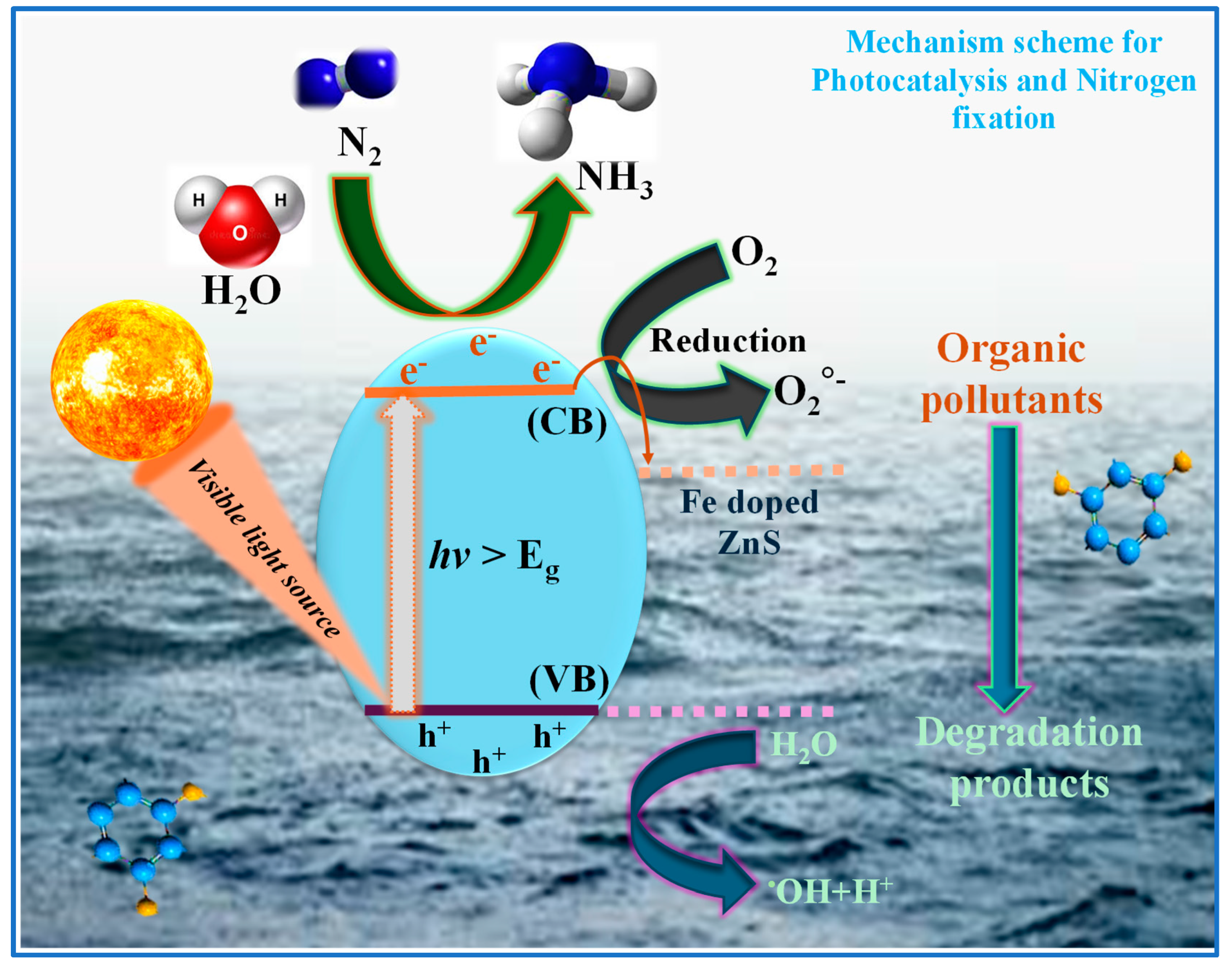 Catalysts 14 00888 sch001