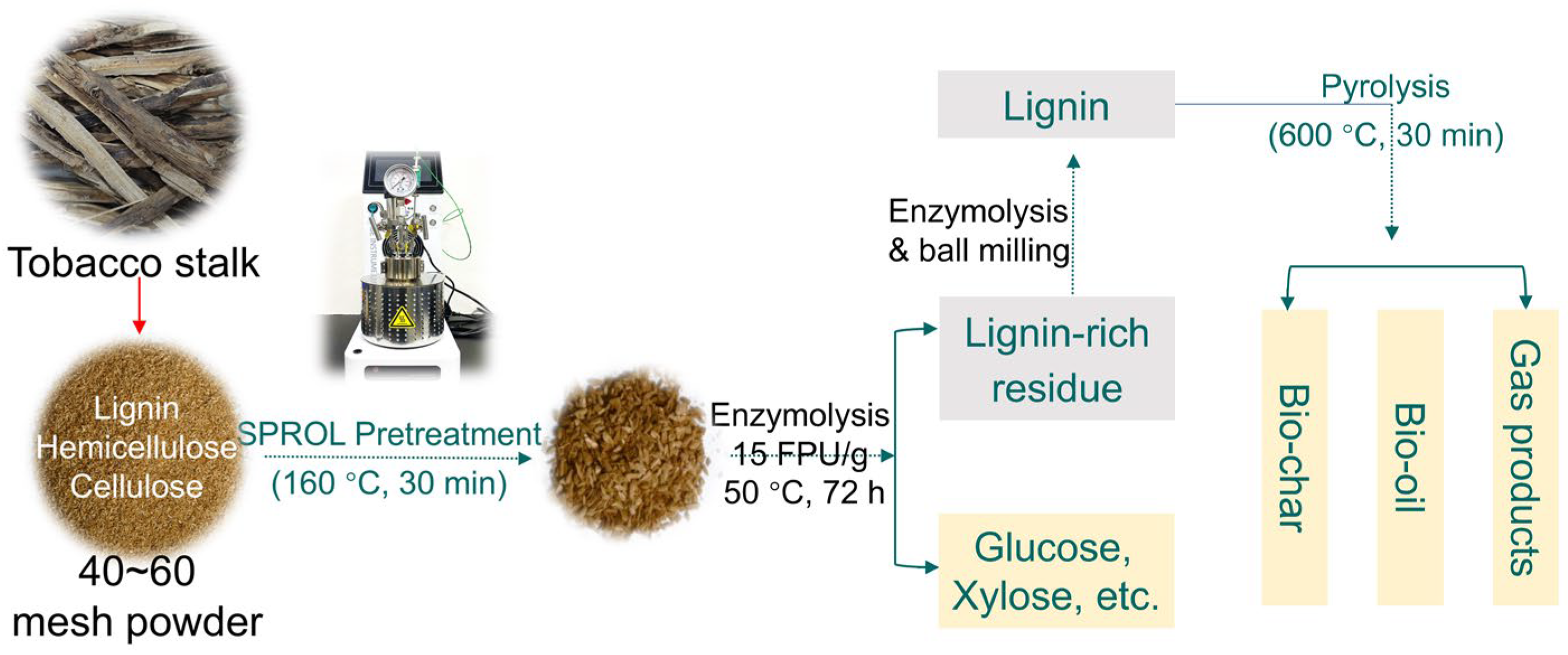 Catalysts 14 00889 g001