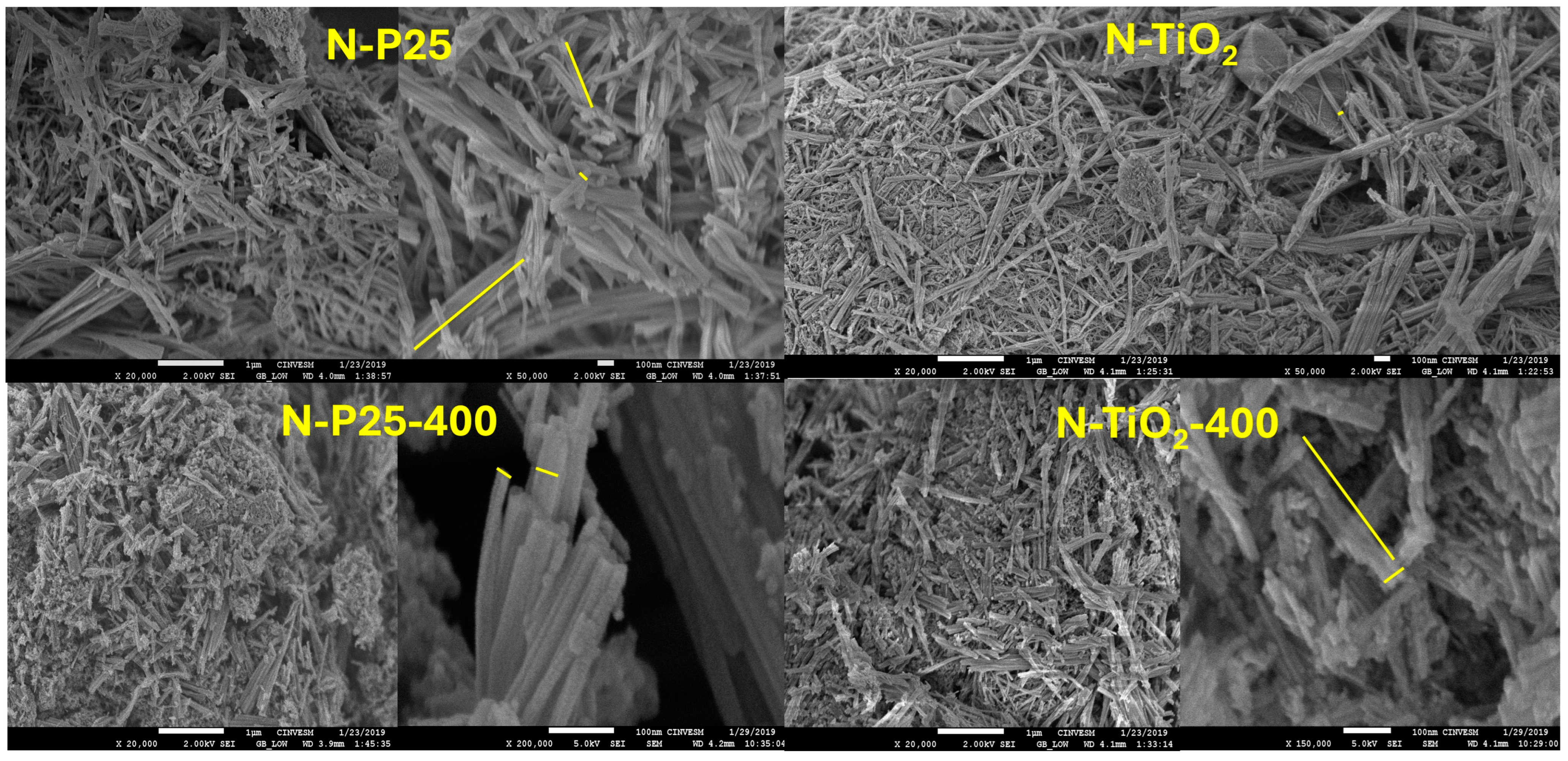 Catalysts 14 00896 g005