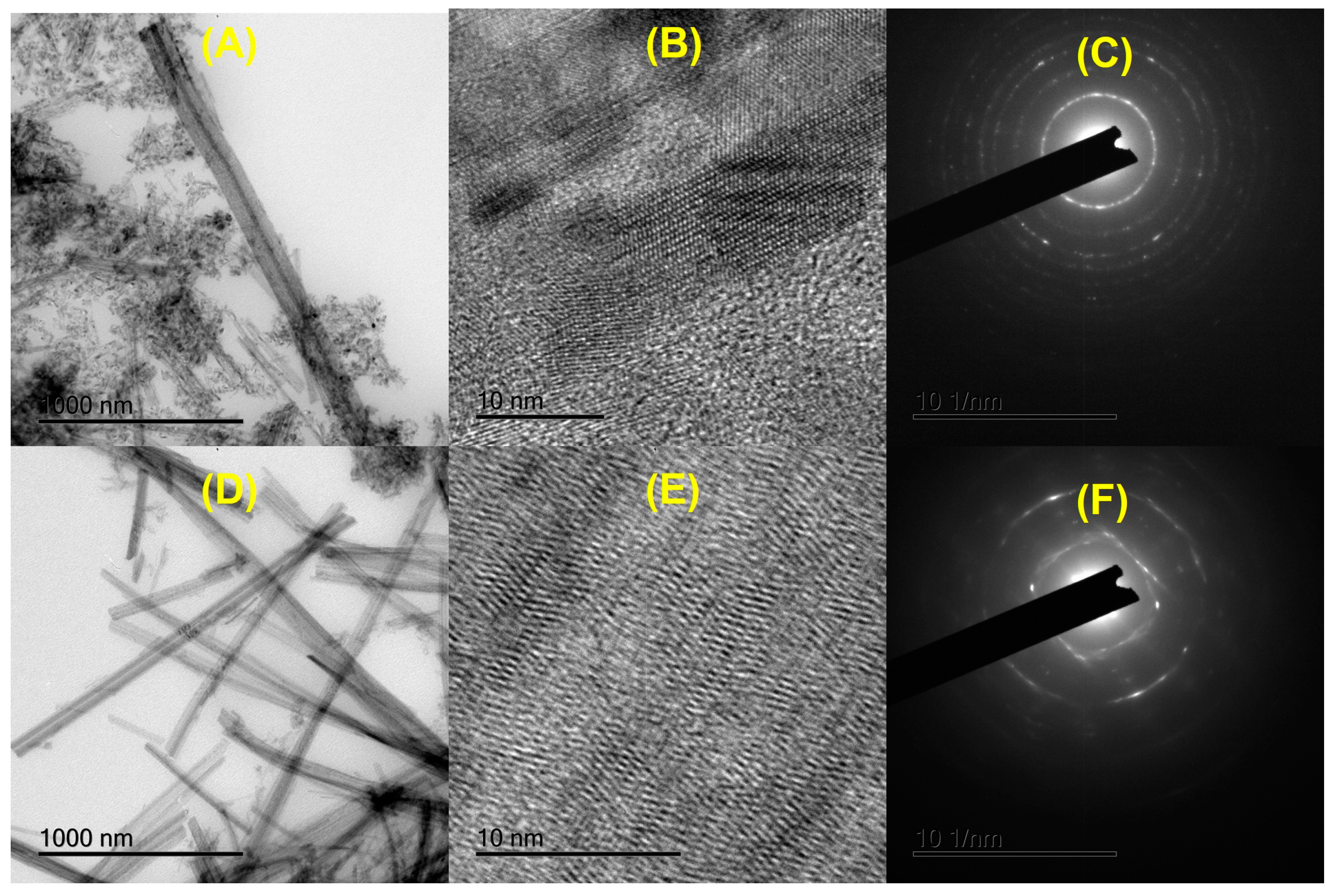 Catalysts 14 00896 g008