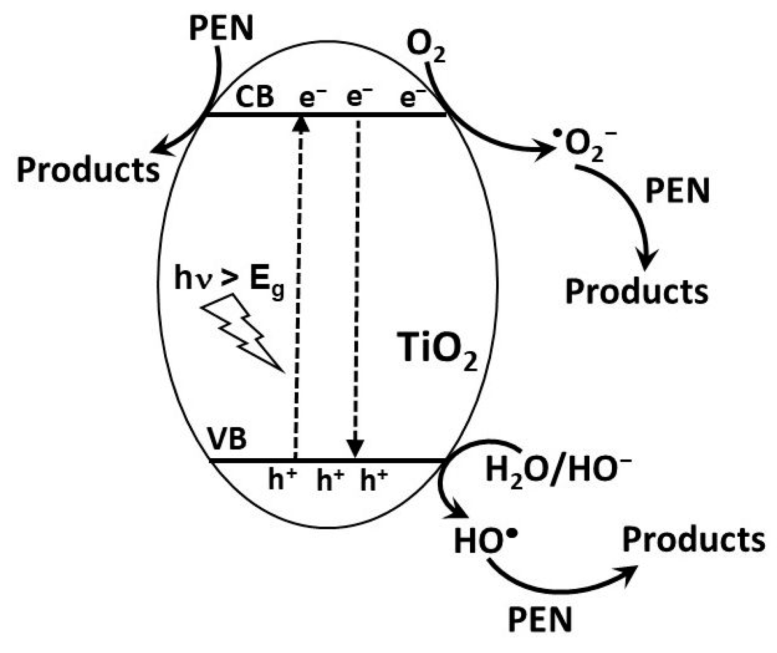 Catalysts 14 00898 sch001 Catalysts 14 00898 sch001