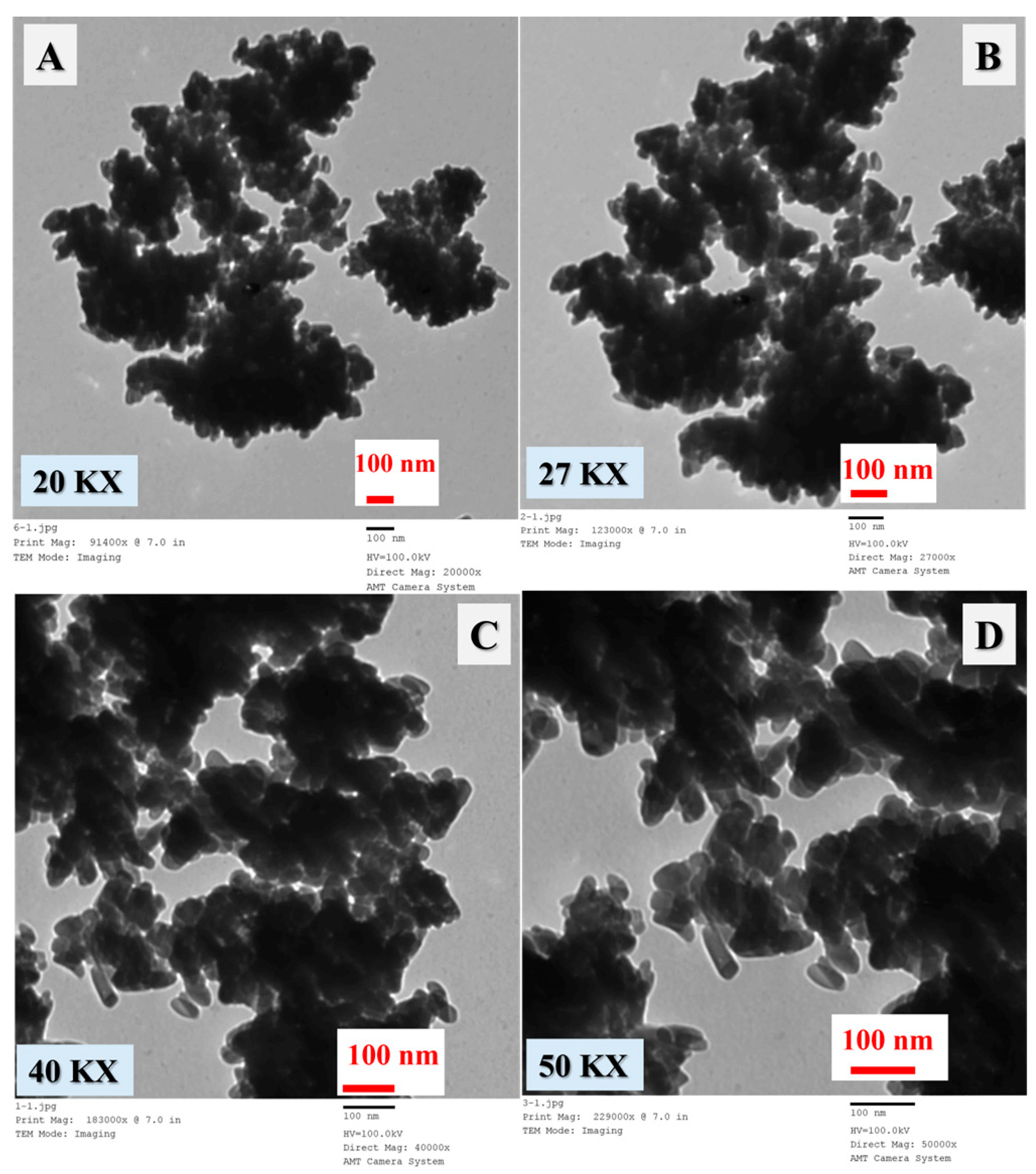 Catalysts 14 00904 g002