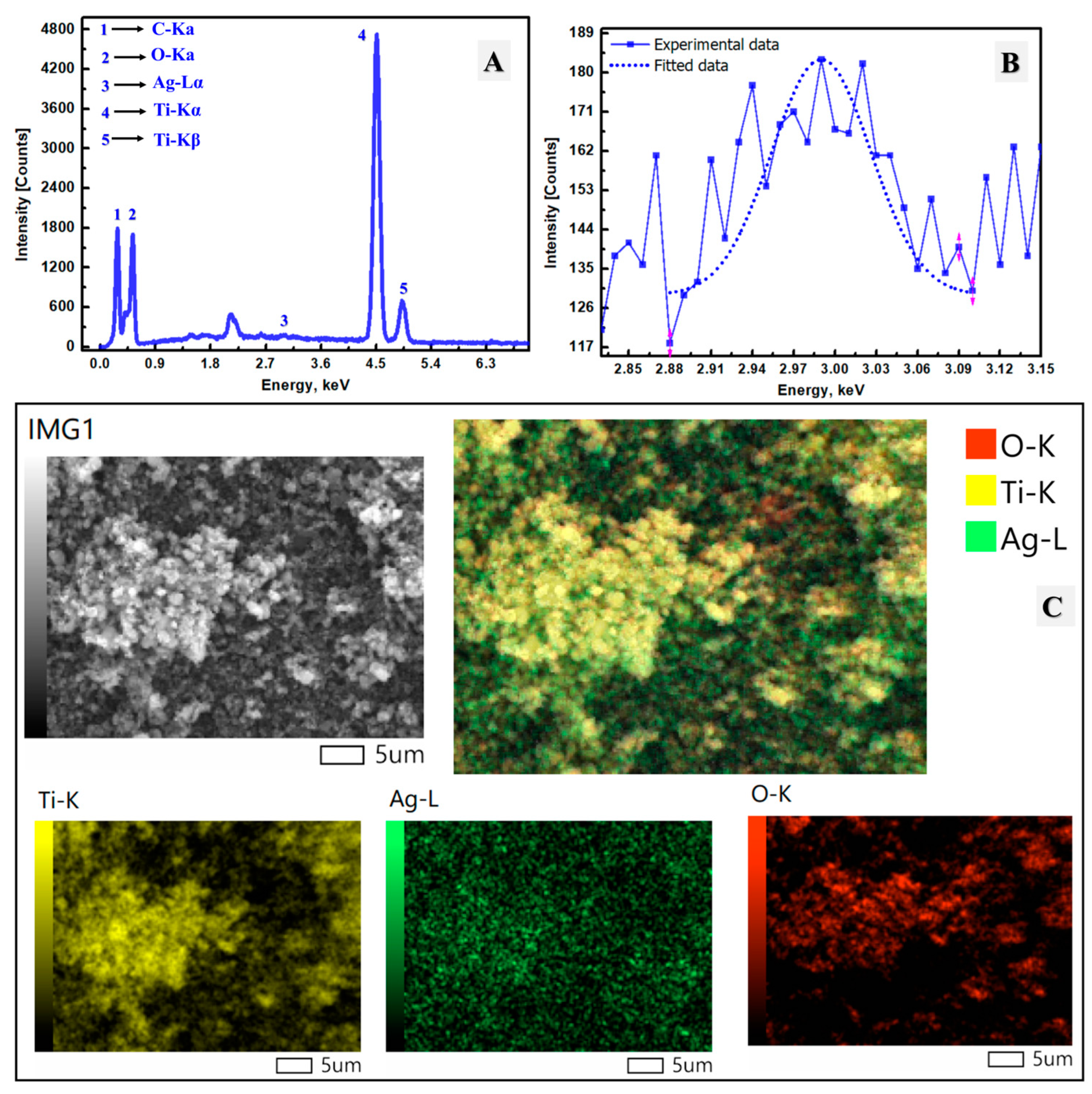 Catalysts 14 00904 g003