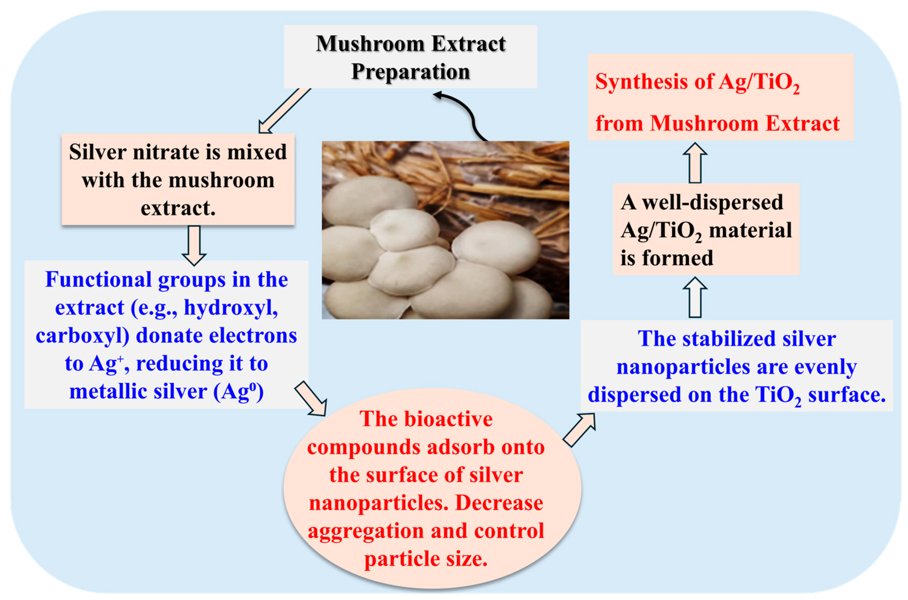 Catalysts 14 00904 sch001
