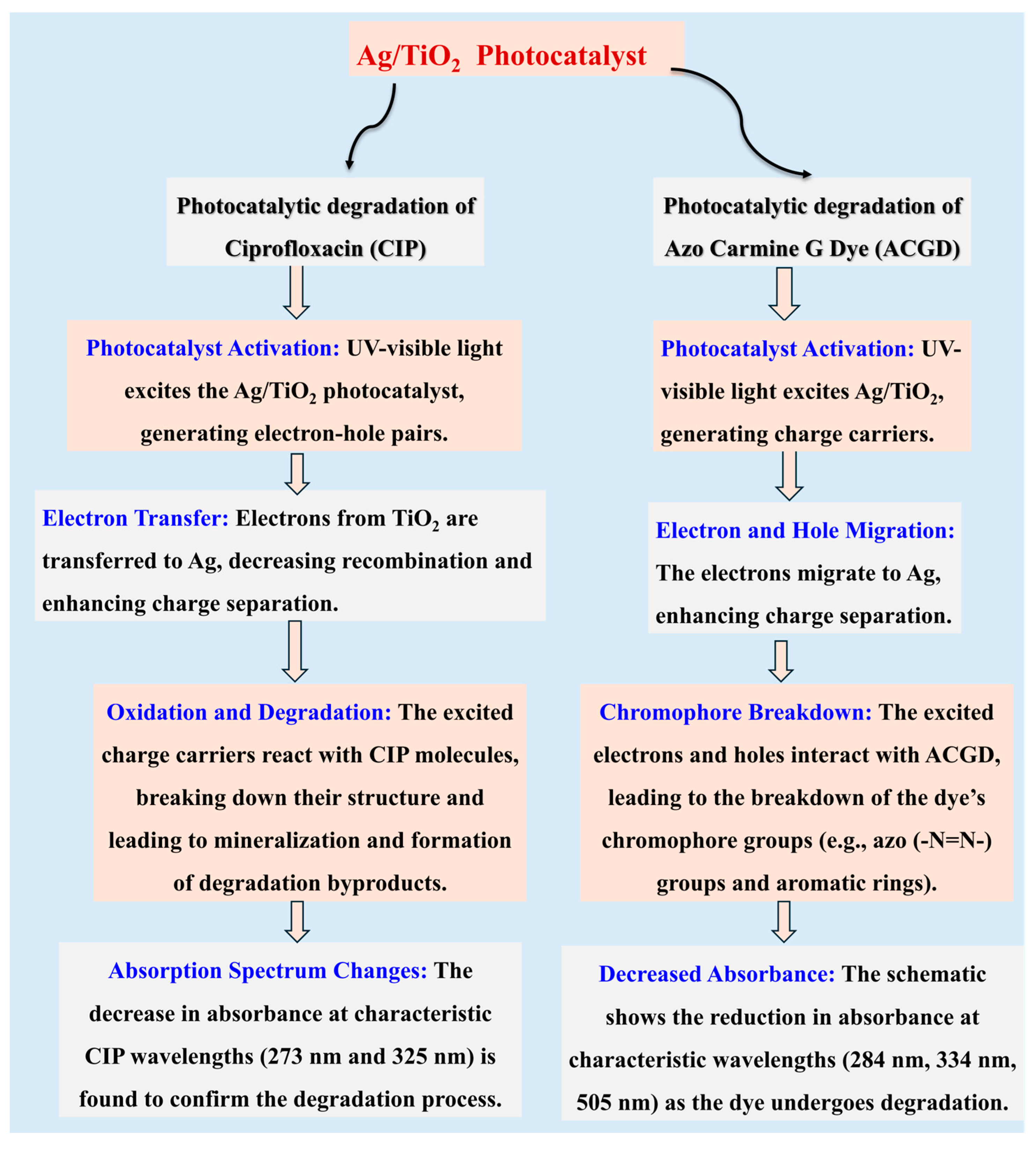 Catalysts 14 00904 sch002