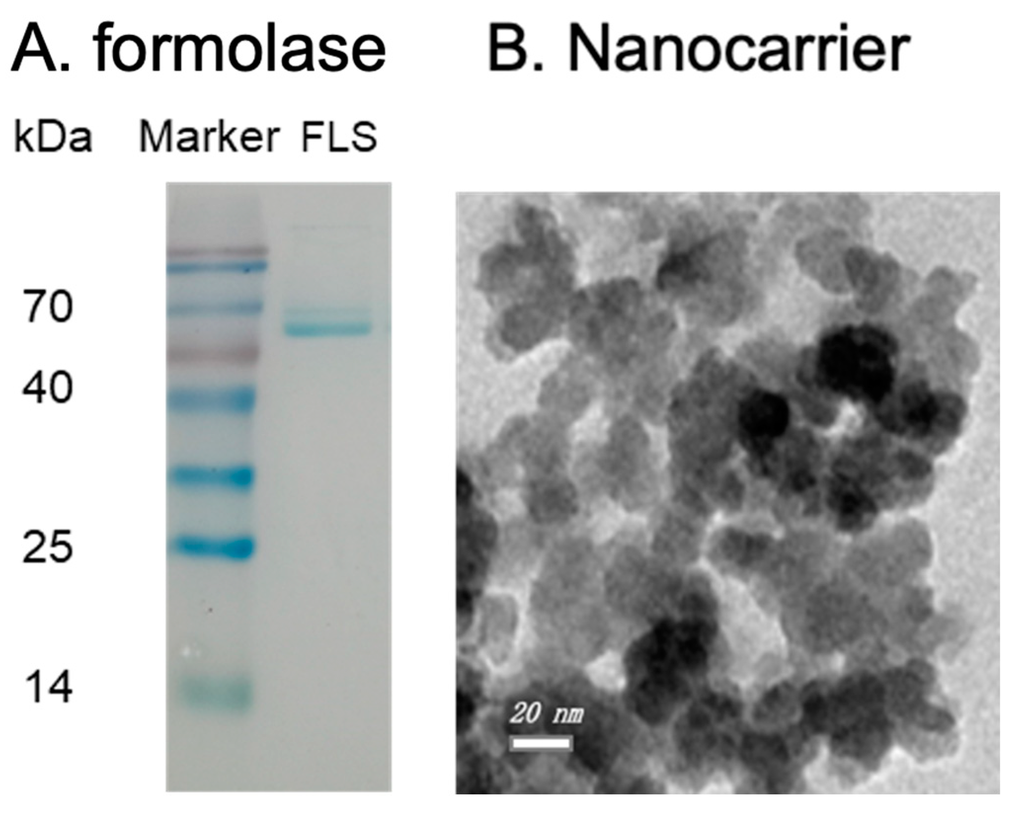 Catalysts 14 00911 g001 Catalysts 14 00911 g001
