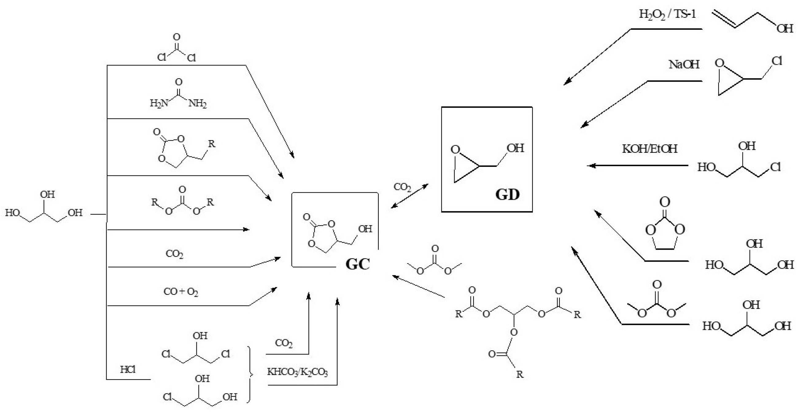 Catalysts 14 00921 sch004