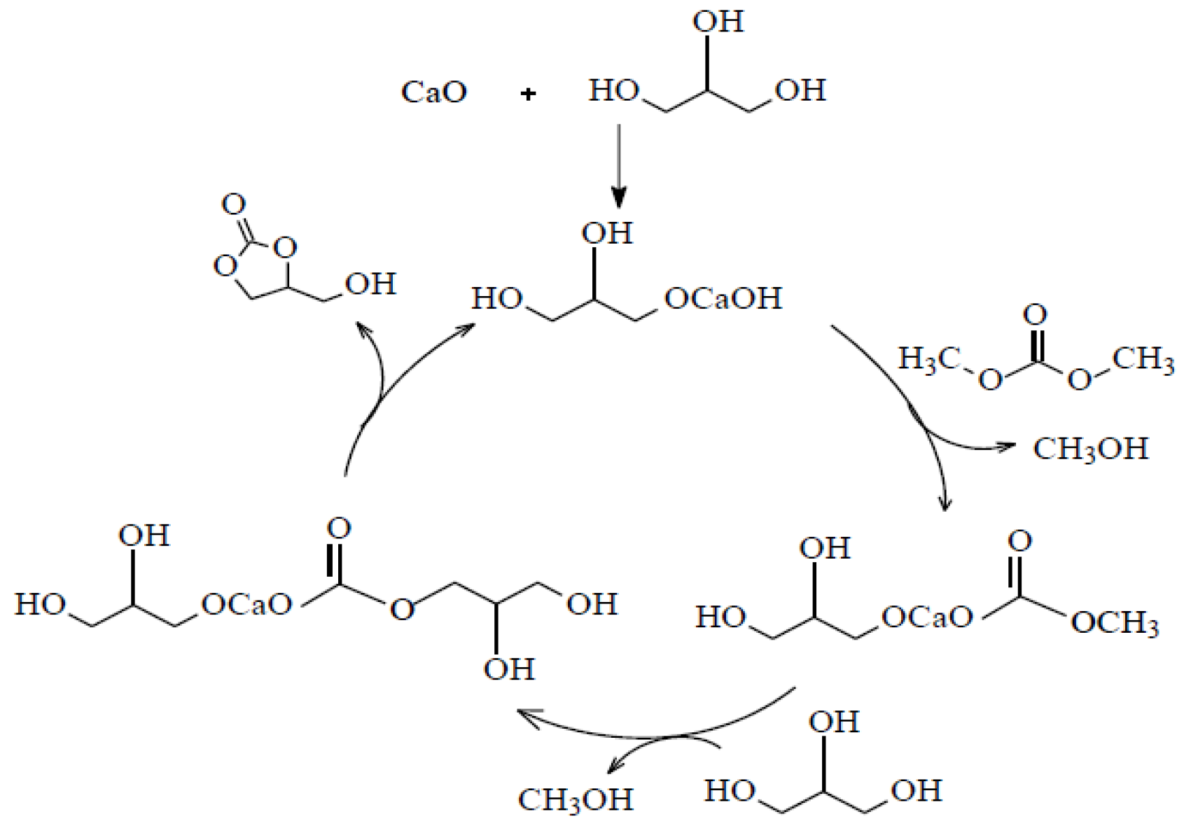 Catalysts 14 00921 sch006