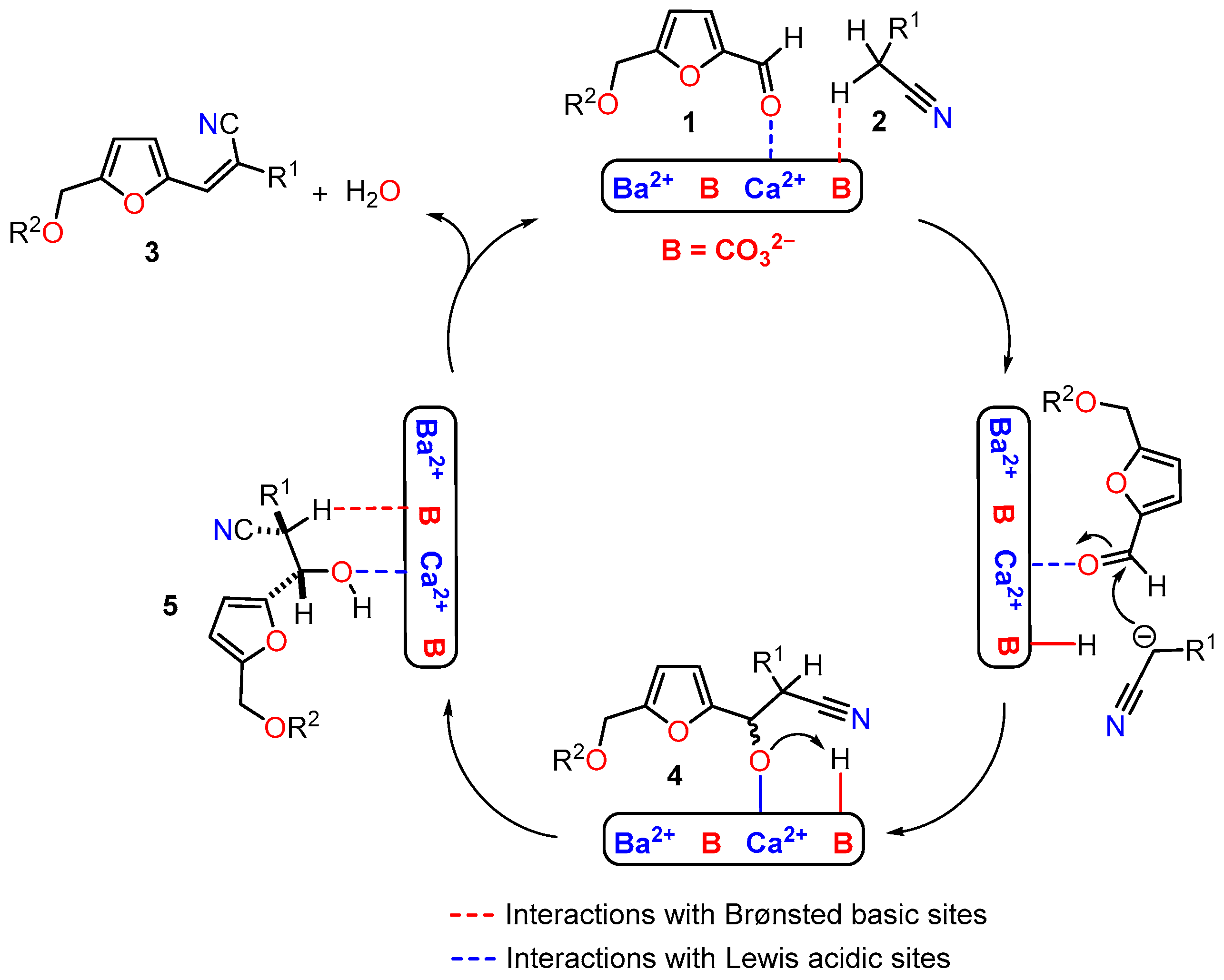 Catalysts 14 00927 sch002