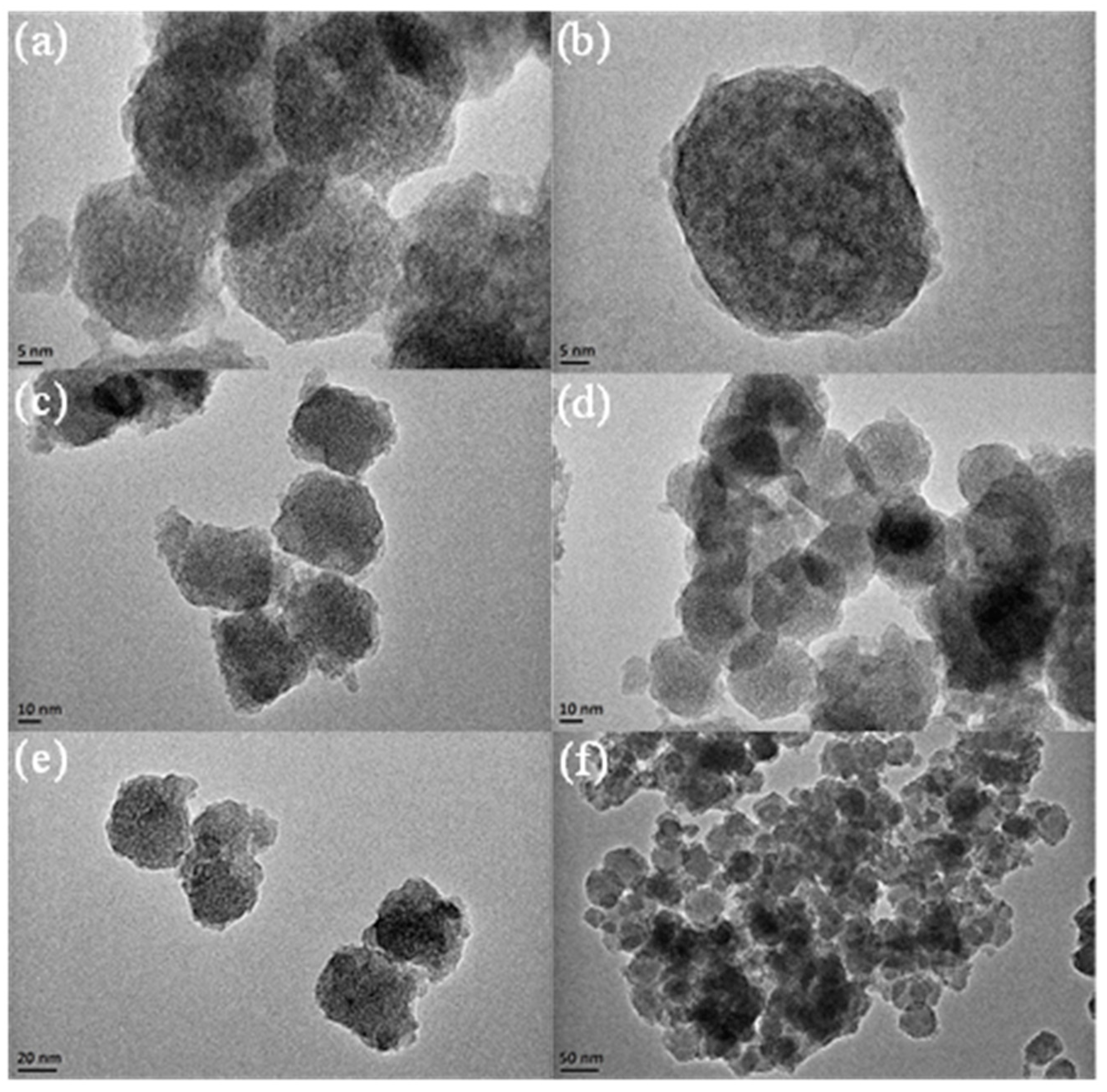 Catalysts 14 00929 g002