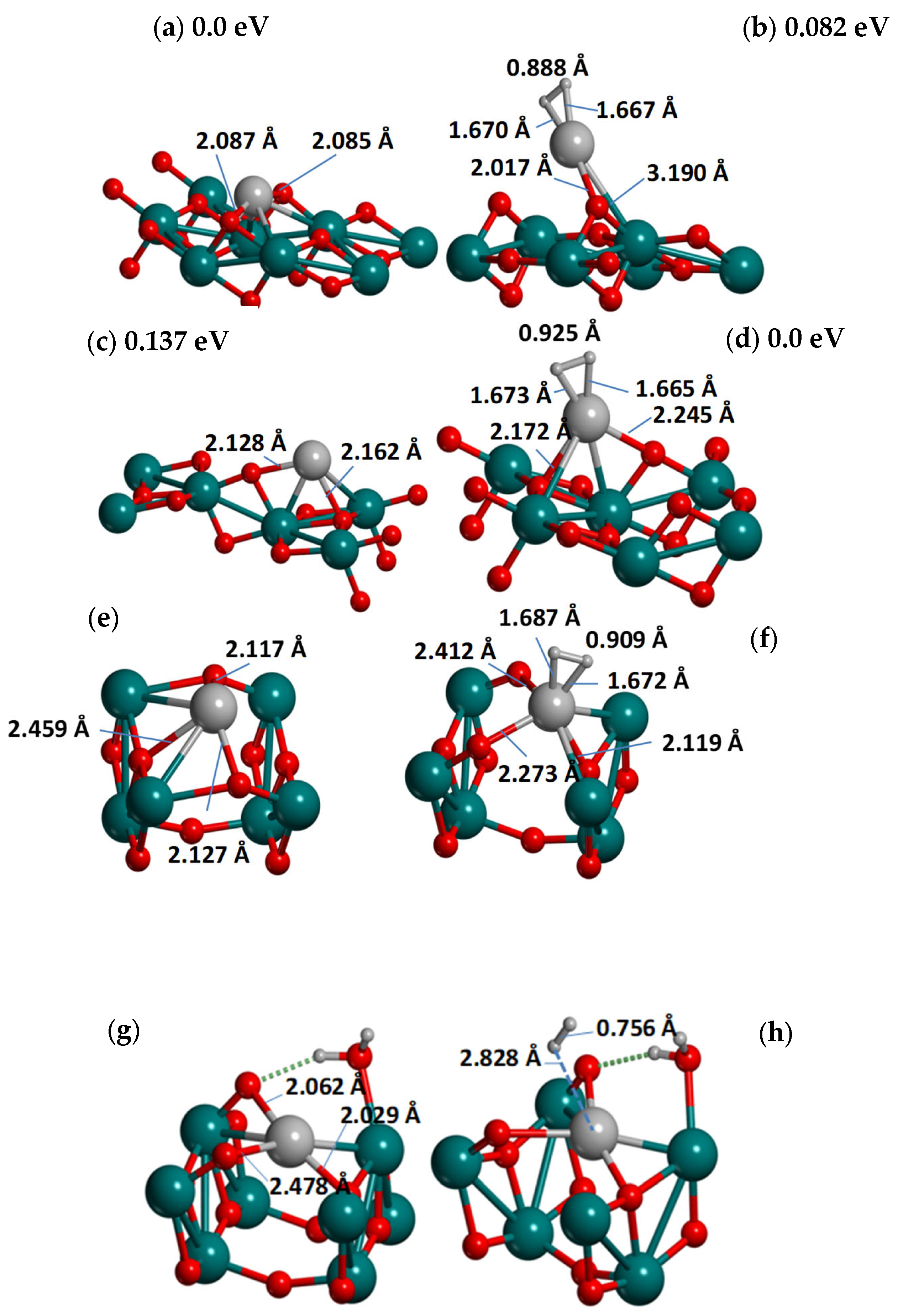 Catalysts 14 00932 g001