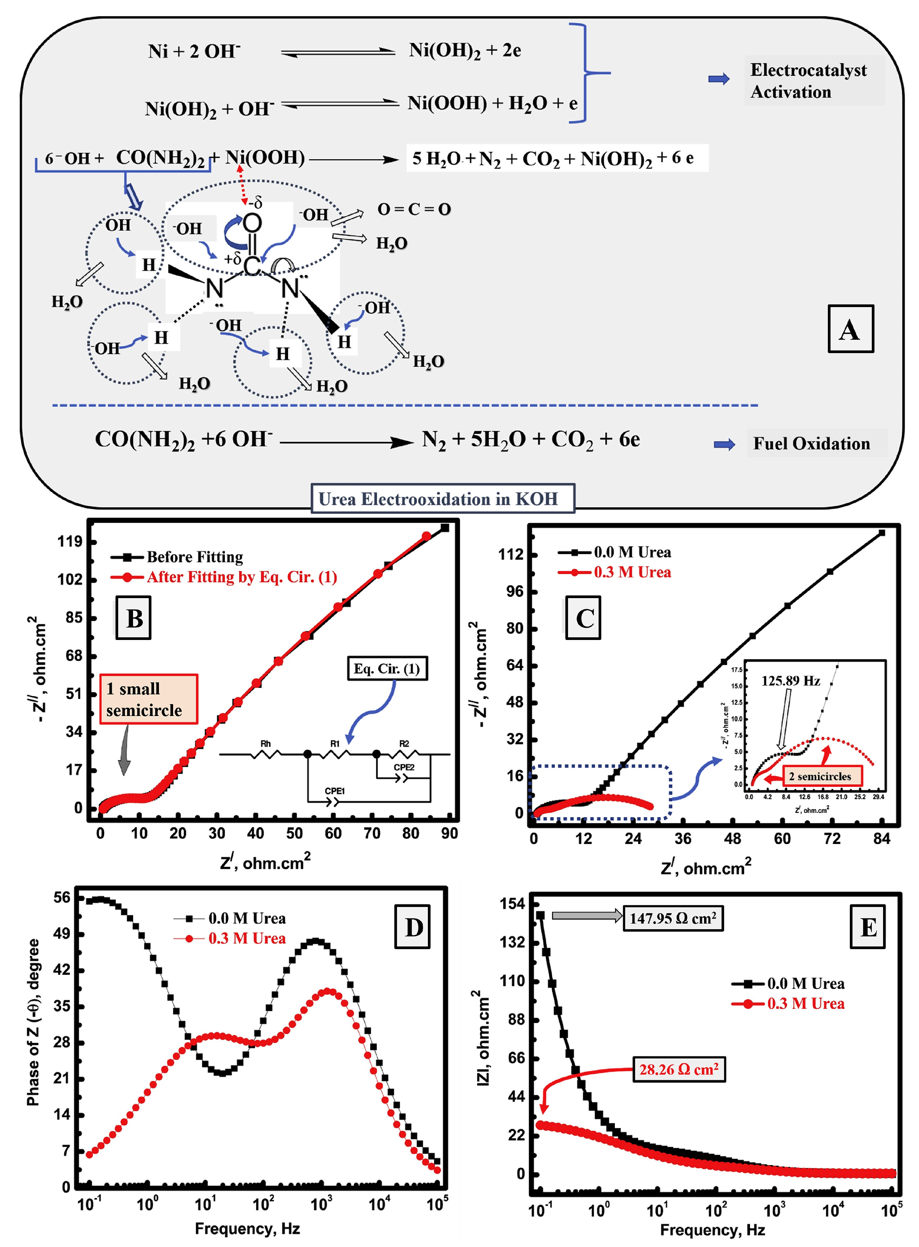 Catalysts 14 00937 g002