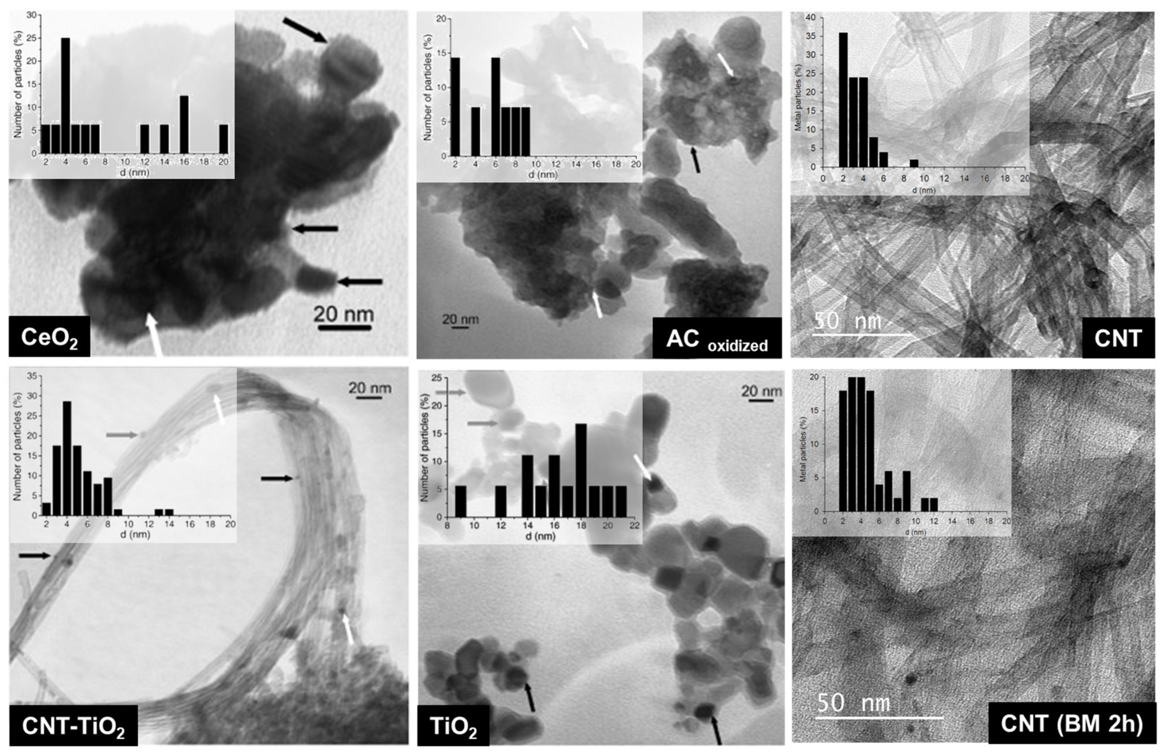 Catalysts 14 00947 g009