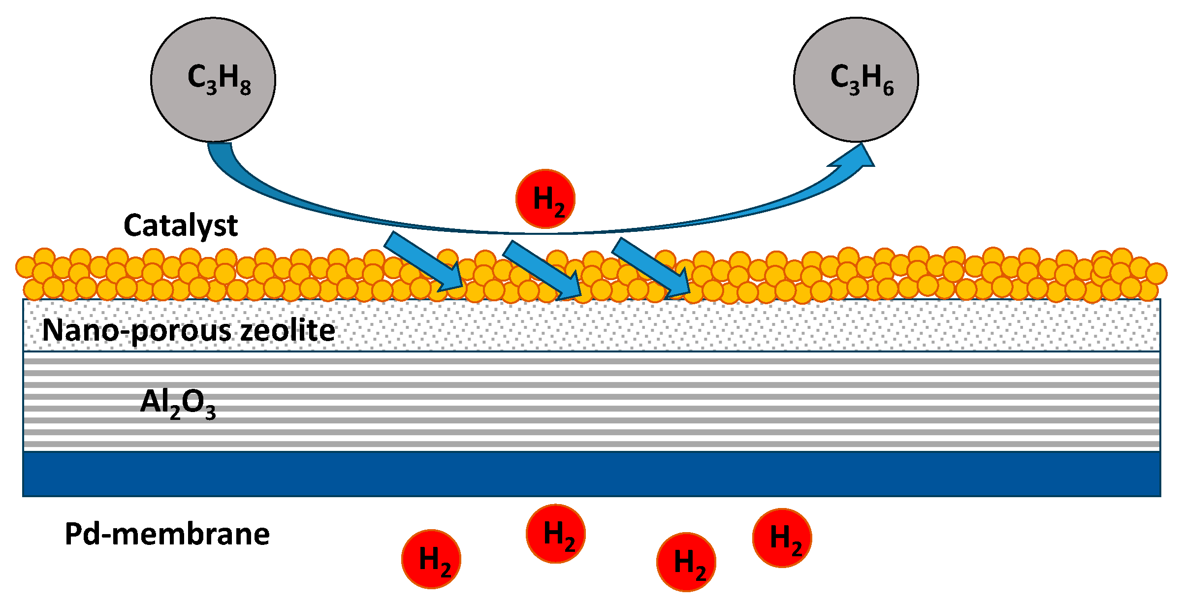 Catalysts 14 00950 g007