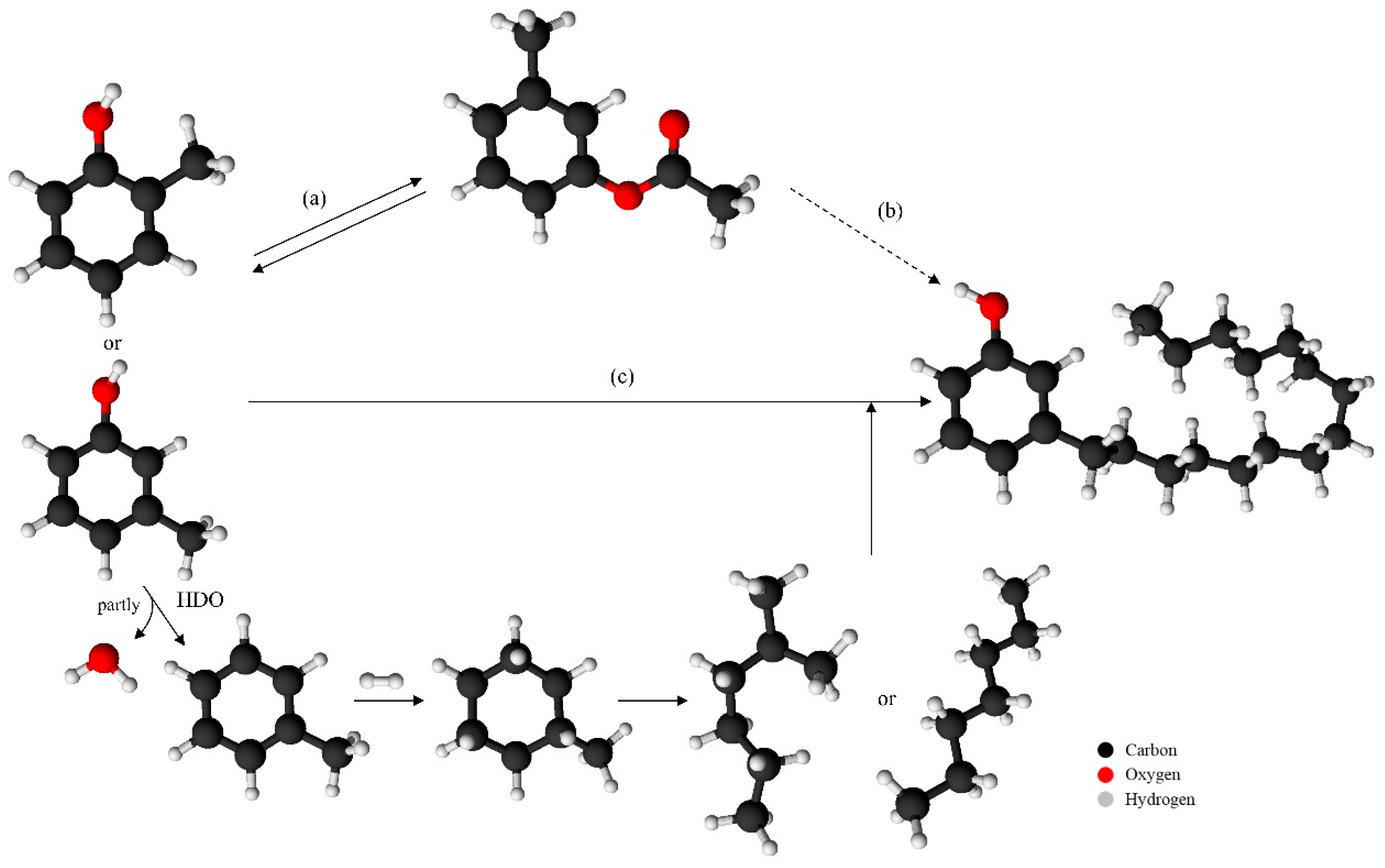 Catalysts 15 00006 g007