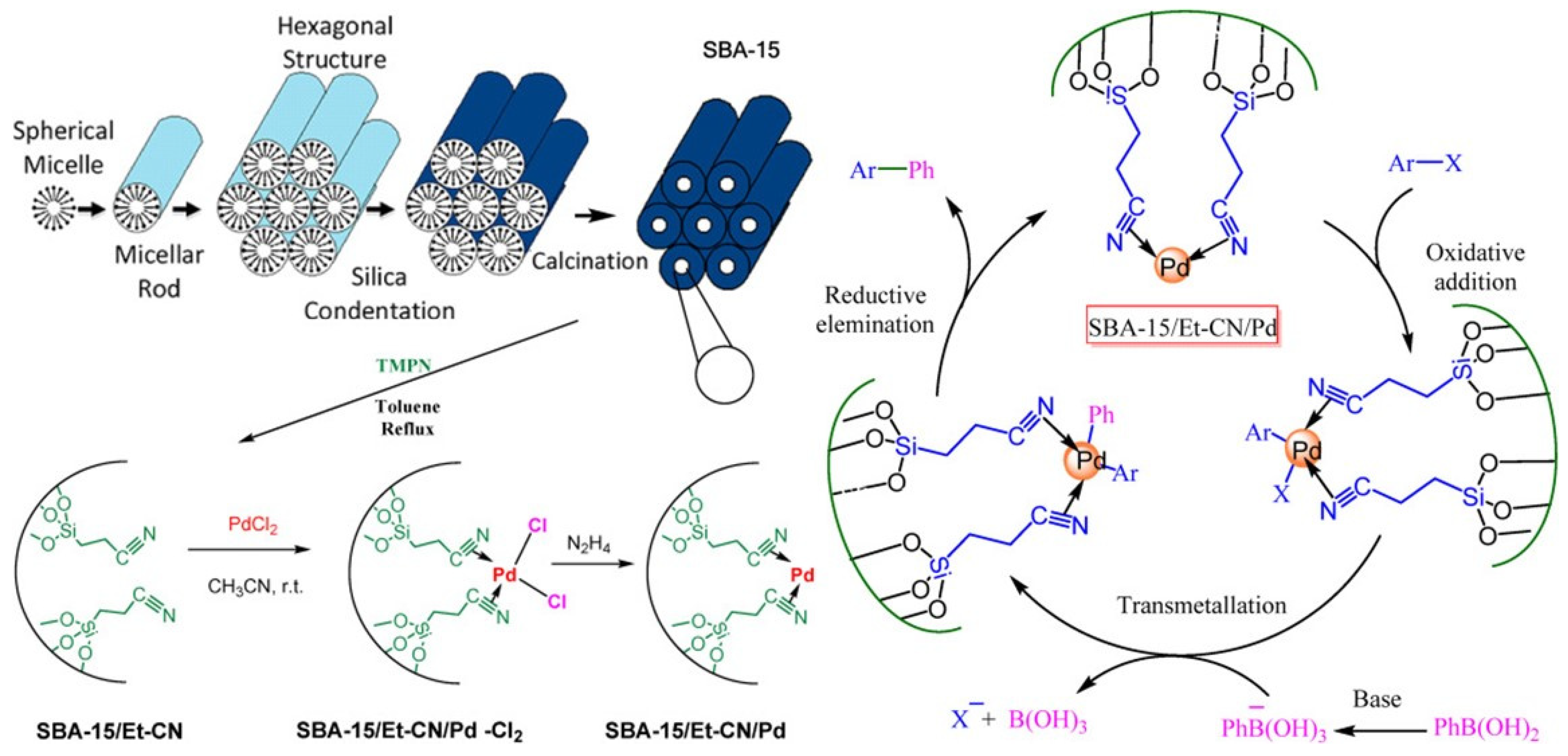 Catalysts 15 00016 g005
