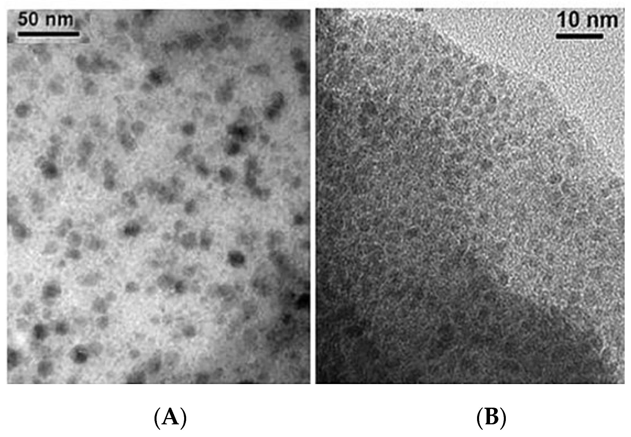 Catalysts 15 00016 g012