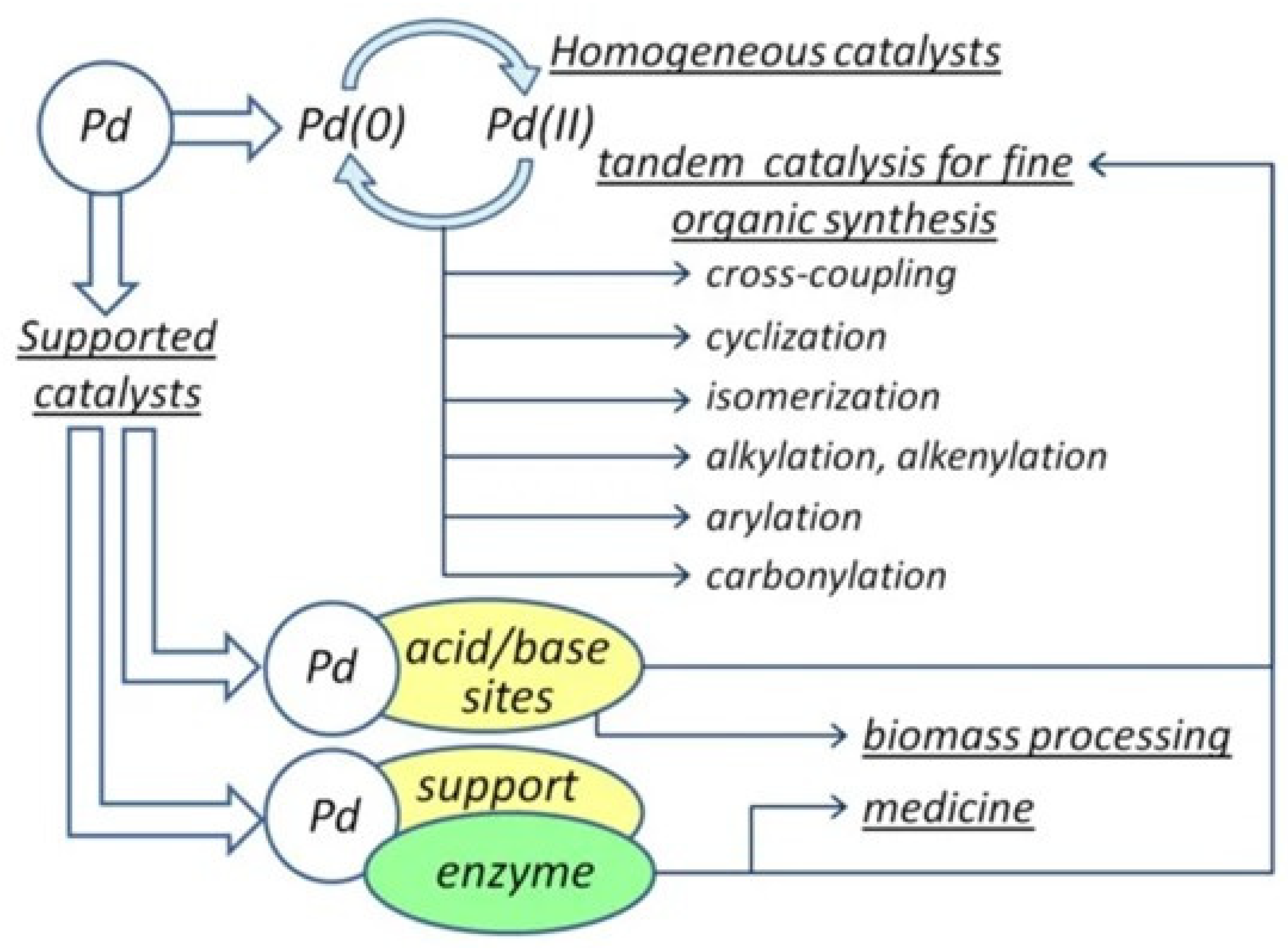 Catalysts 15 00016 g020