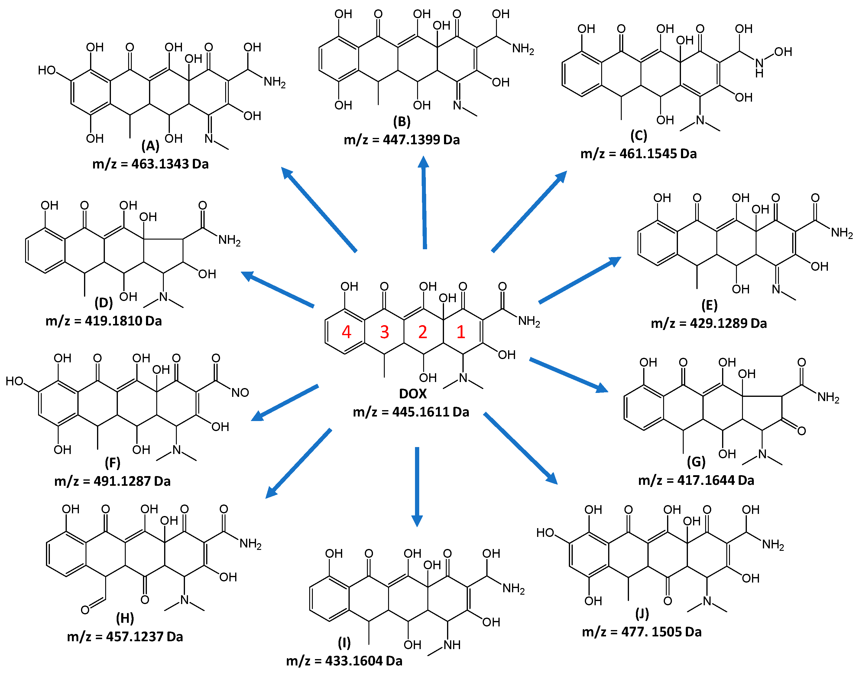 Catalysts 15 00020 g005