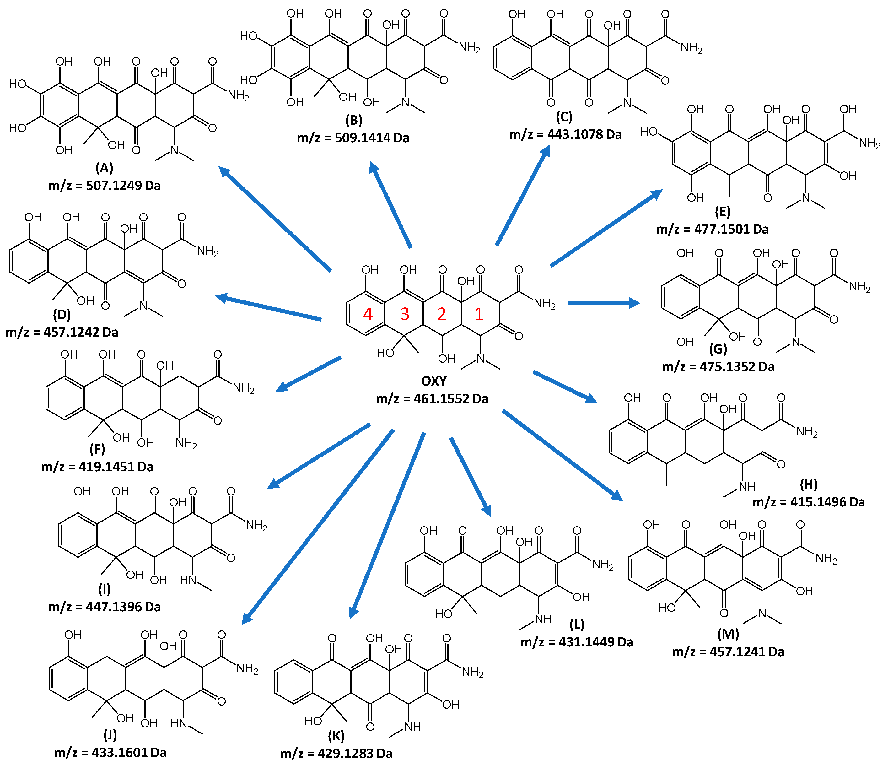 Catalysts 15 00020 g006
