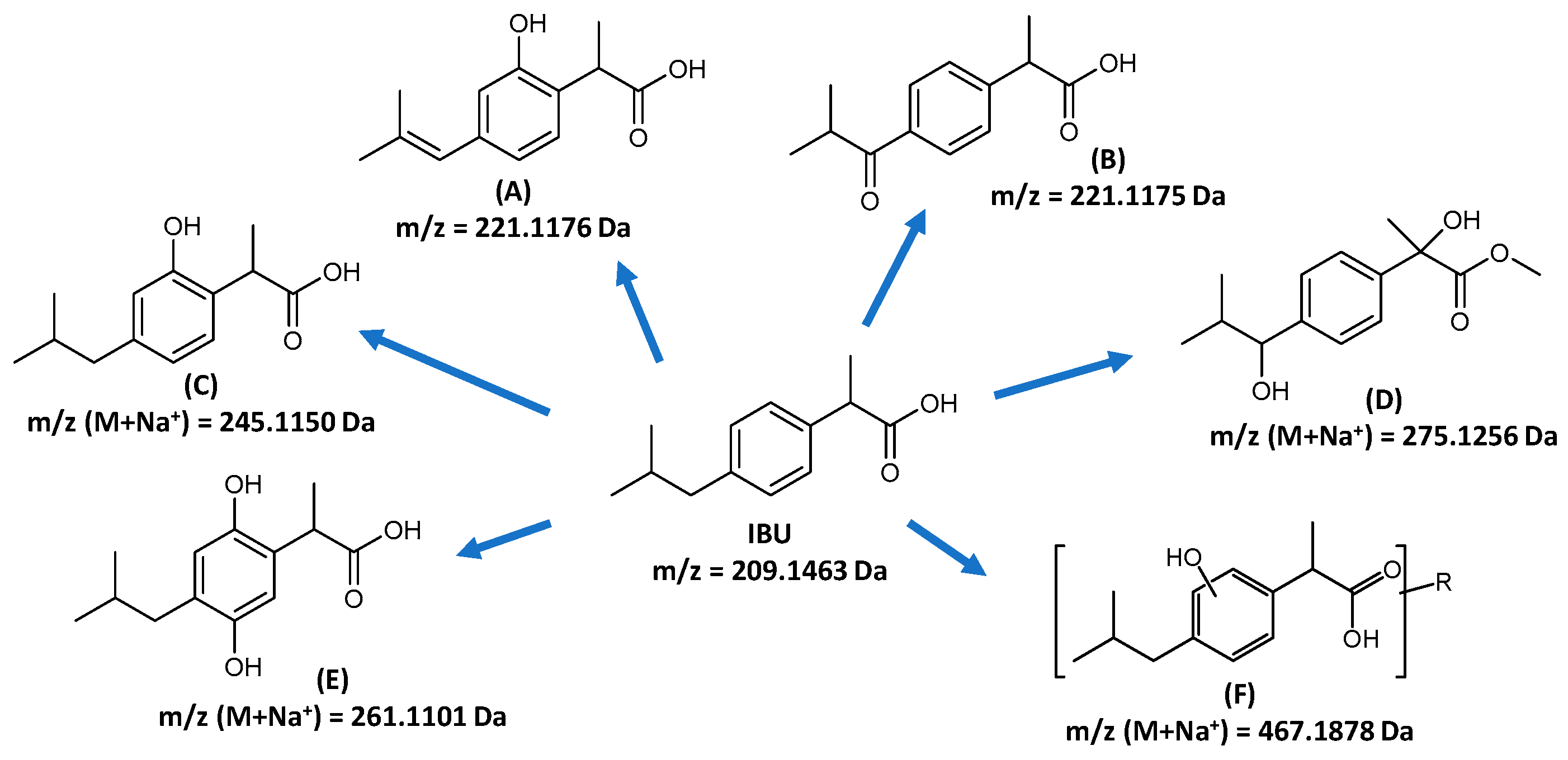 Catalysts 15 00020 g007