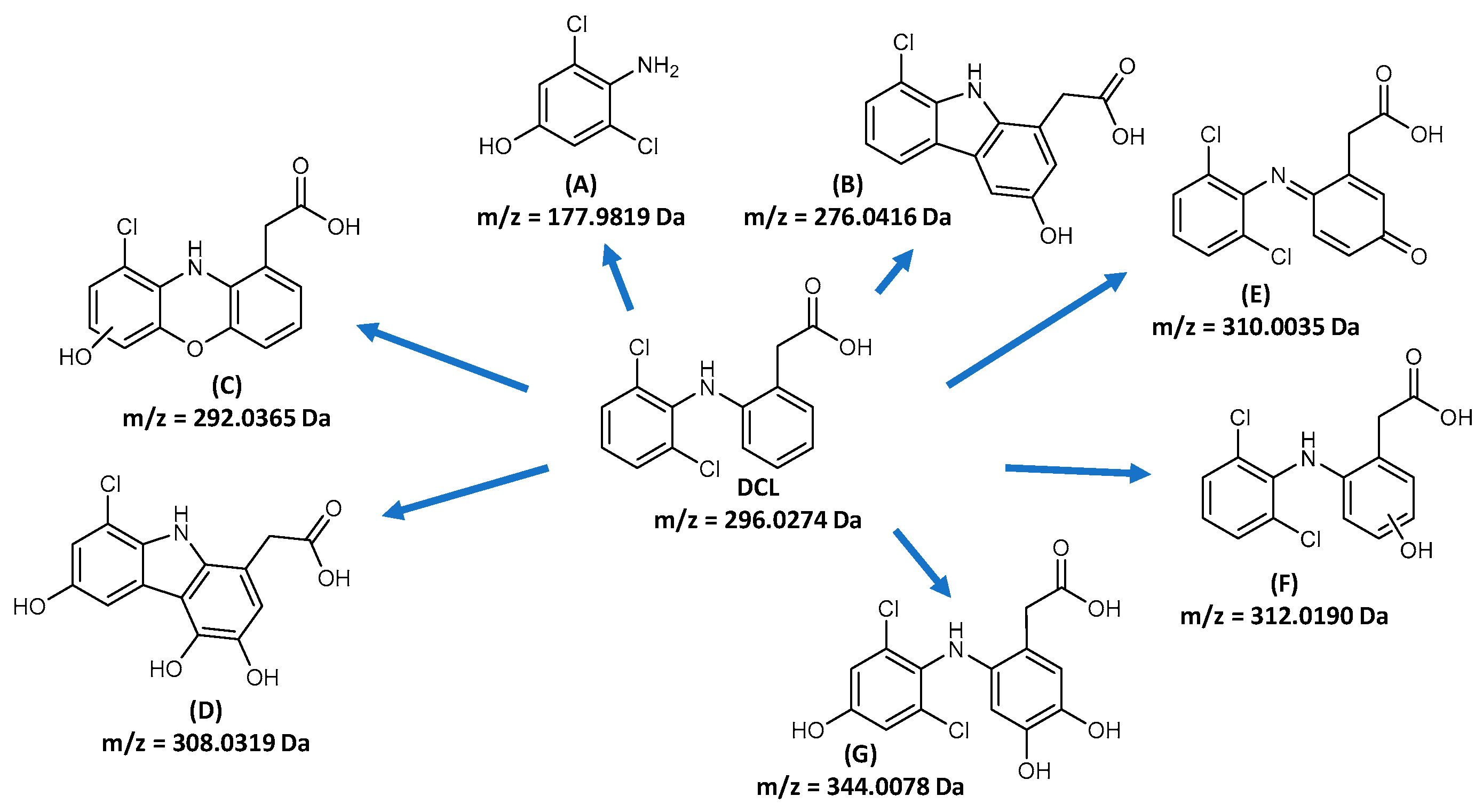 Catalysts 15 00020 g008