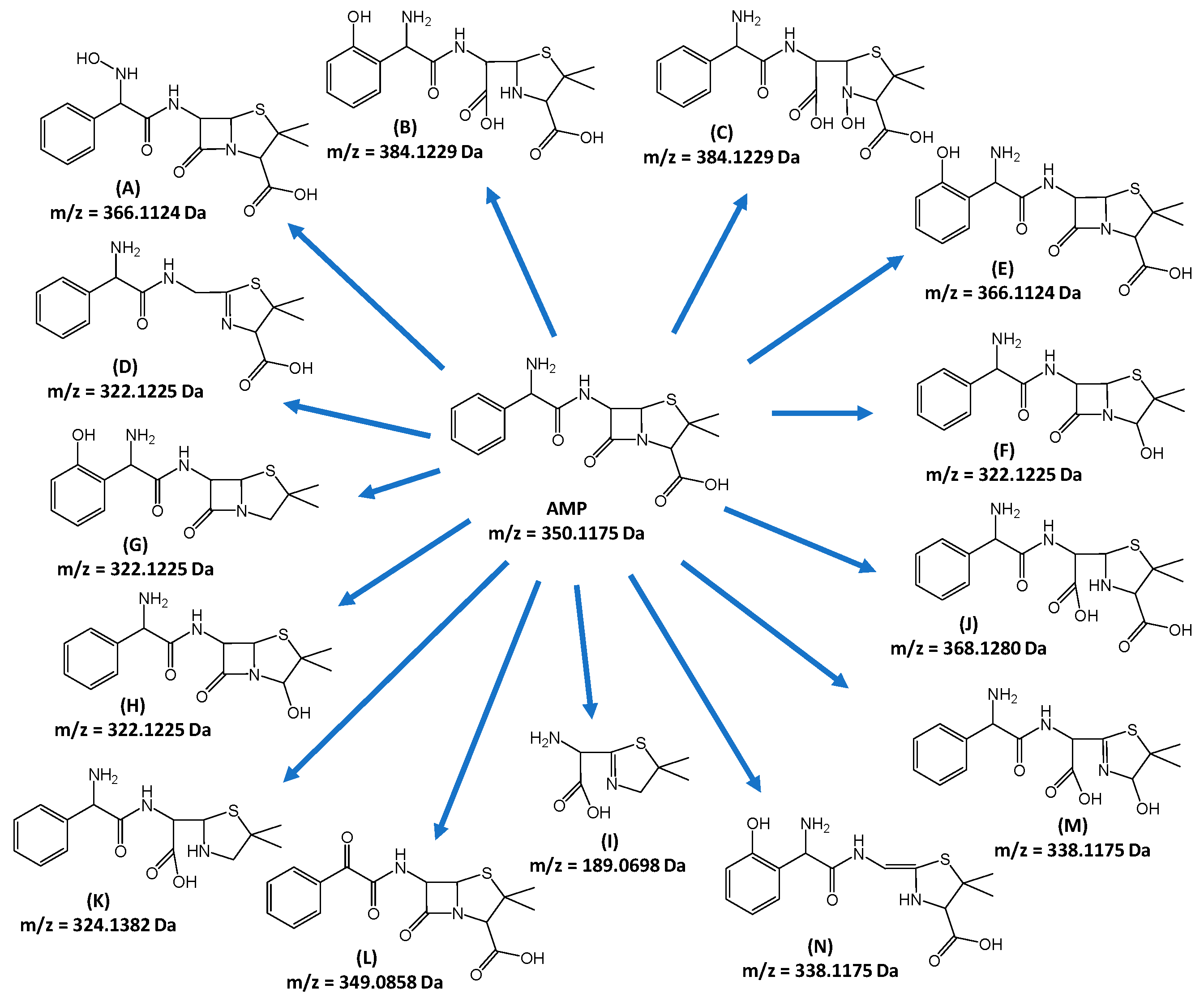 Catalysts 15 00020 g009