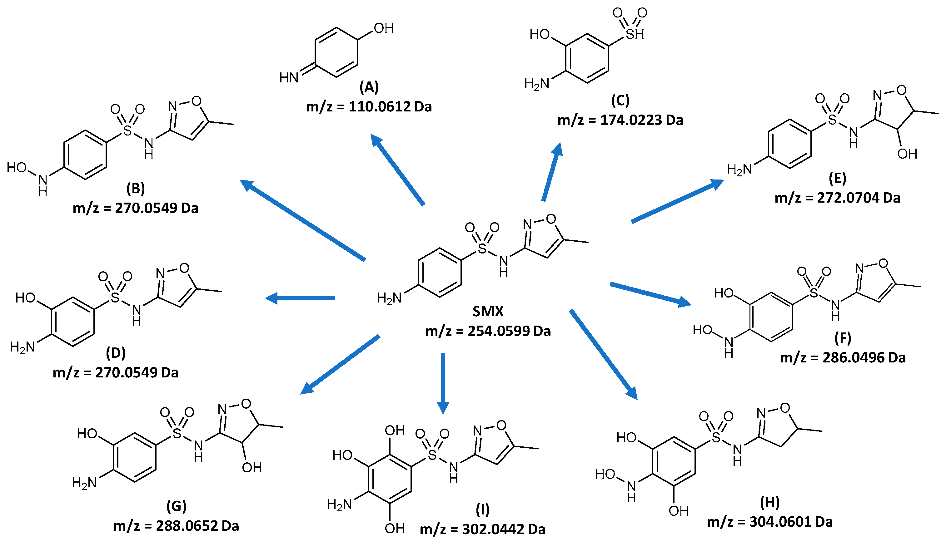 Catalysts 15 00020 g011